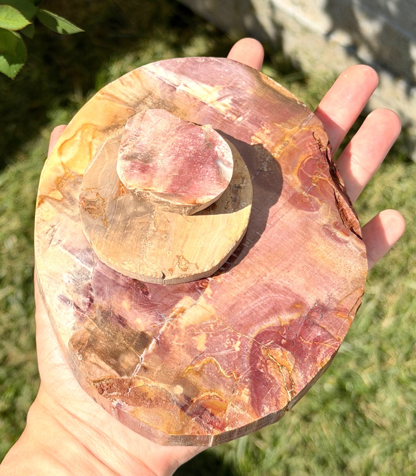 Wholesale Lot 4 Lbs Natural Petrified Wood Slabs Crystal Healing Energy