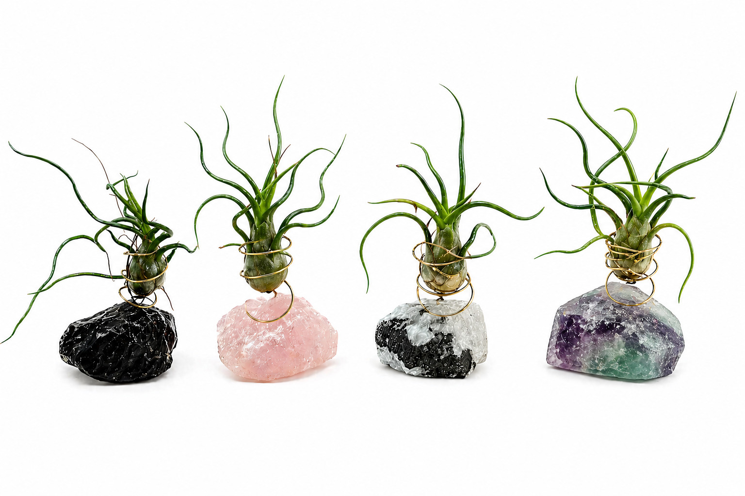 Natural Geode Crystal with Live Air Plant + Spray Bottle Care Kit Unique GIFT