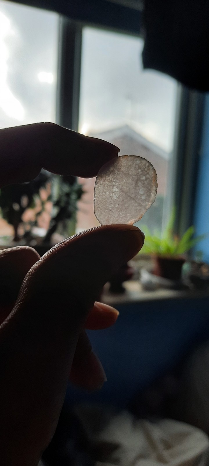 Rough Cut Rock Stone Mineral And Crystal Slices 100g assorted (1-2mm × 10-50mm)