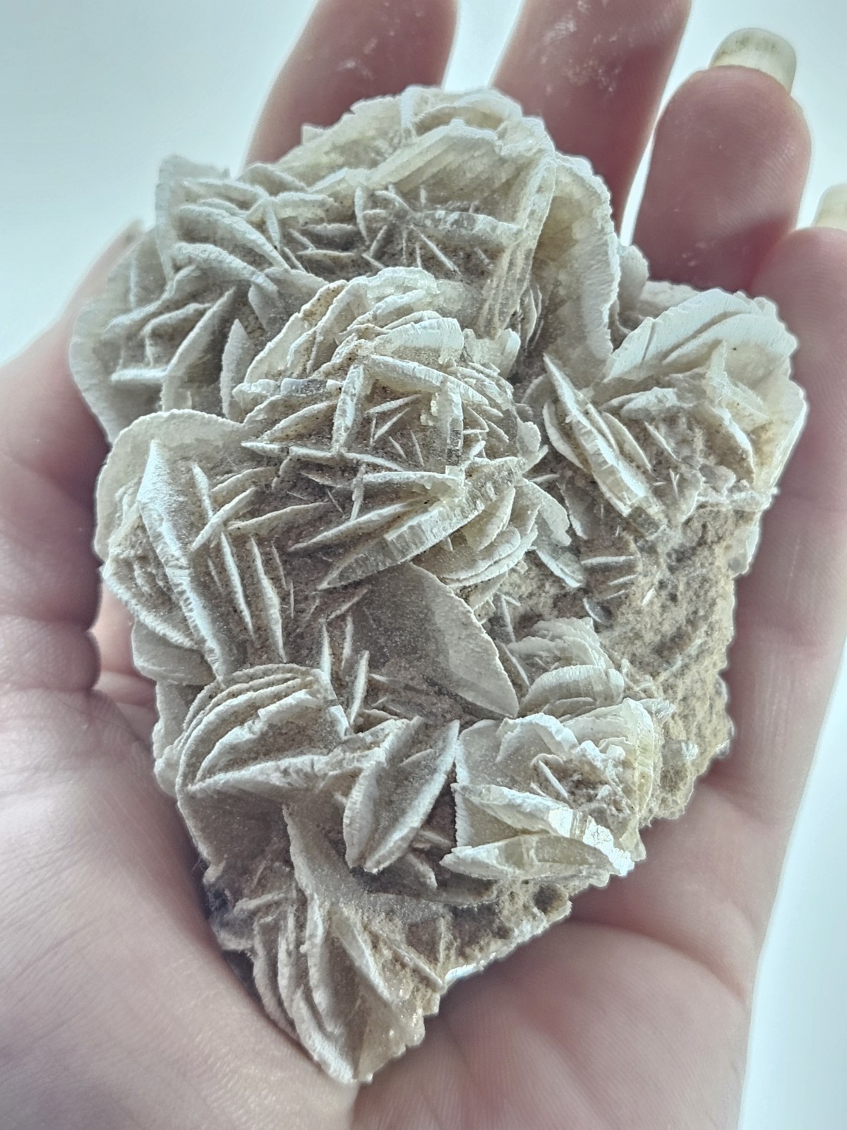 Natural Desert Rose Selenite Cluster – Mexico – Bladed Gypsum Crystal Specimen