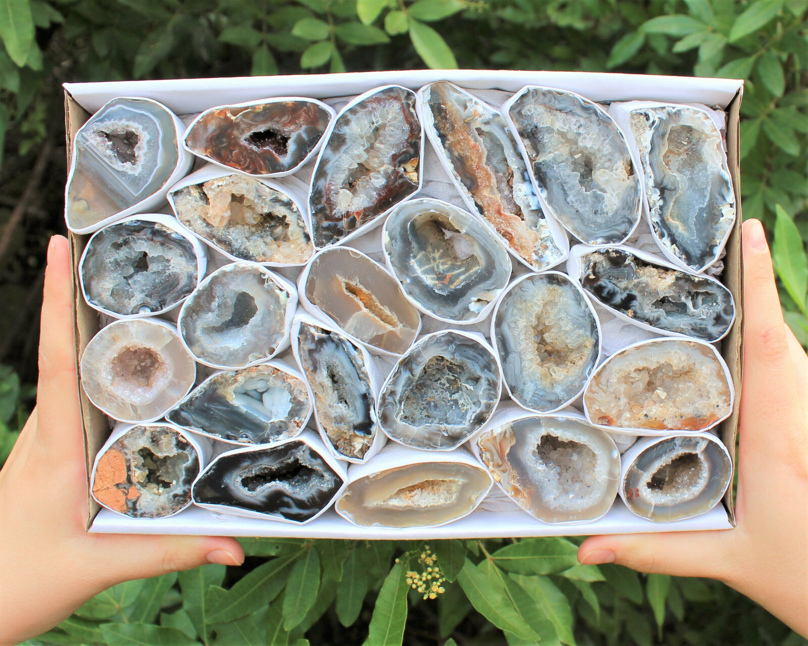 Large Oco Agate Geodes, Natural Crystal Druzy Halves: Choose How Many Pieces!