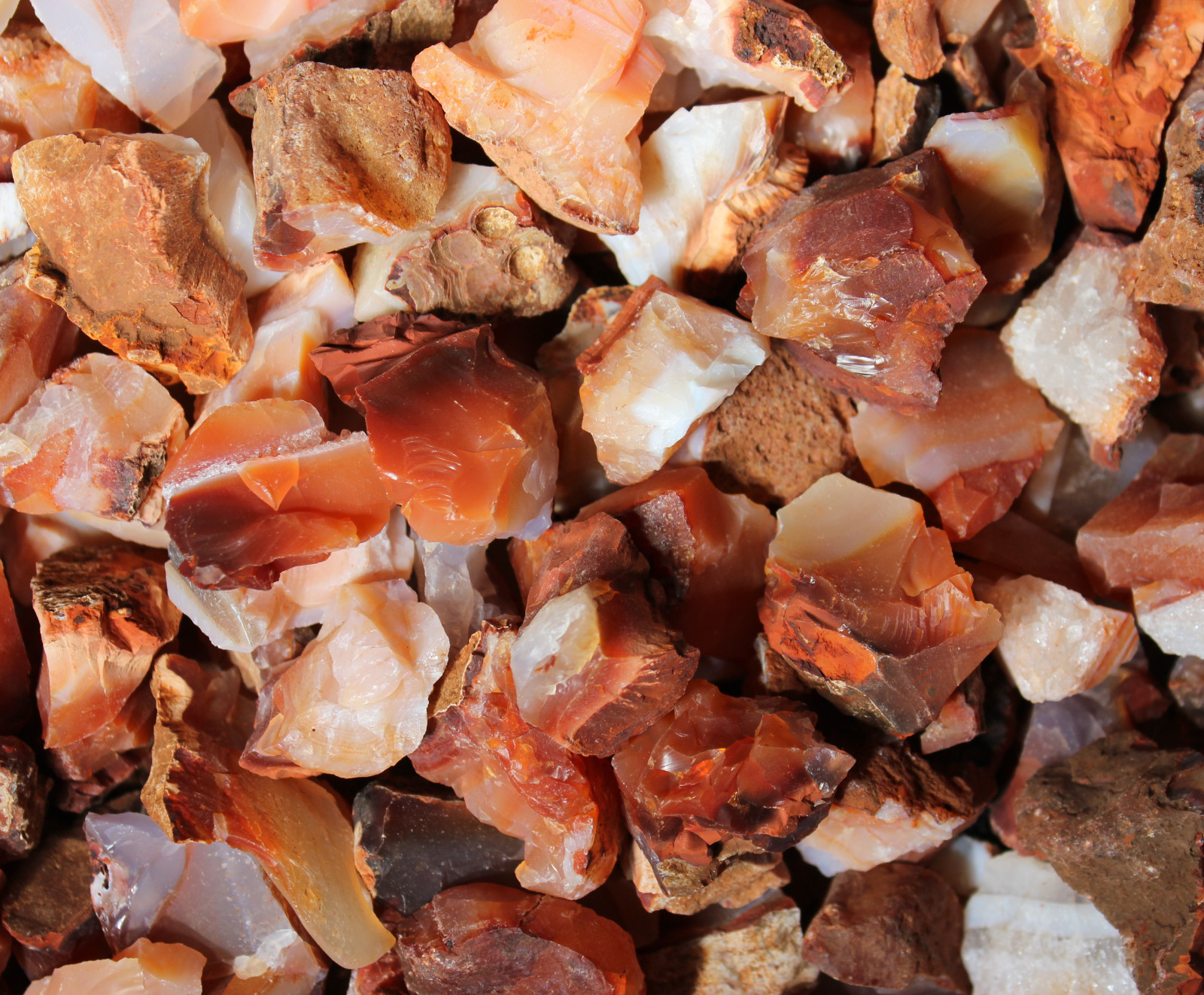 Carnelian – Small: 0.75″ – 1.25″ – Raw Rough Rock – Bulk Wholesale 1LB options