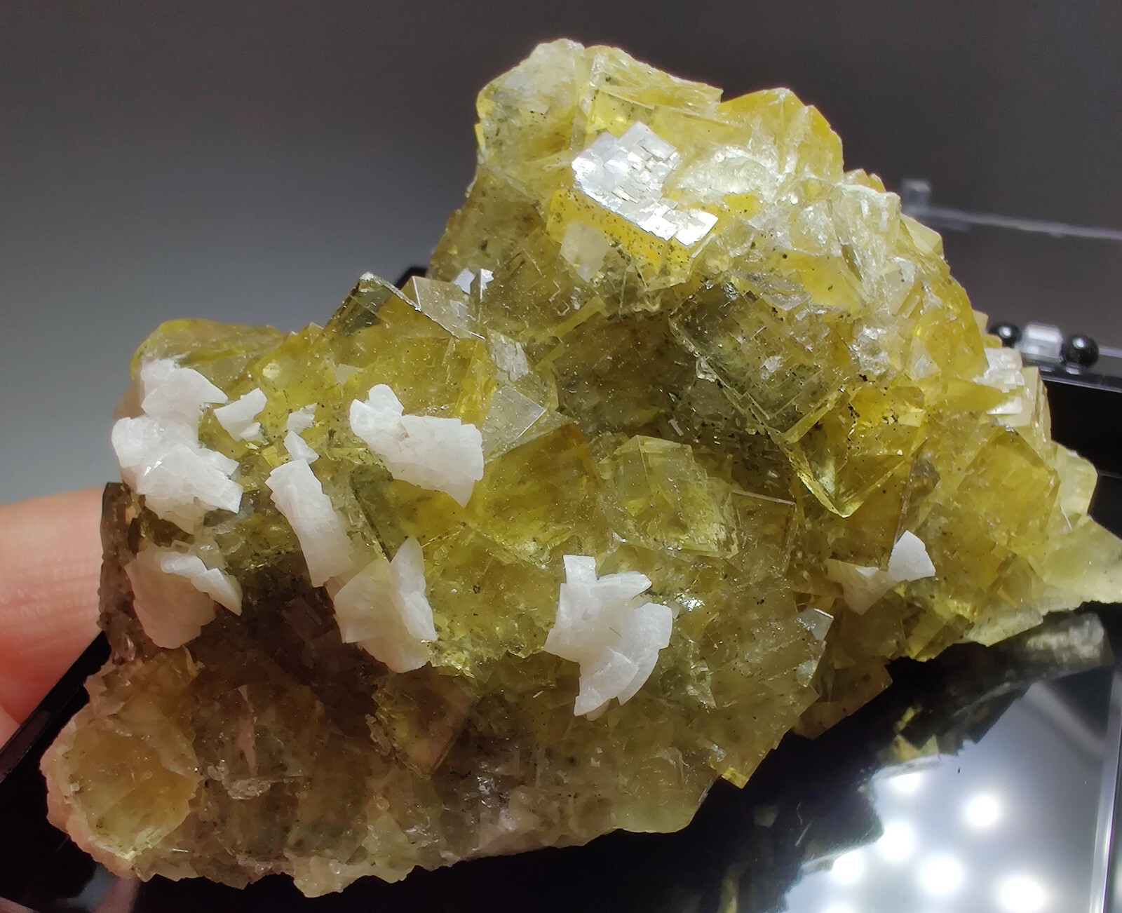 Fluorite crystals & Dolomite, Gorgeous! Moscona Mine, Spain. 7.5 cm.