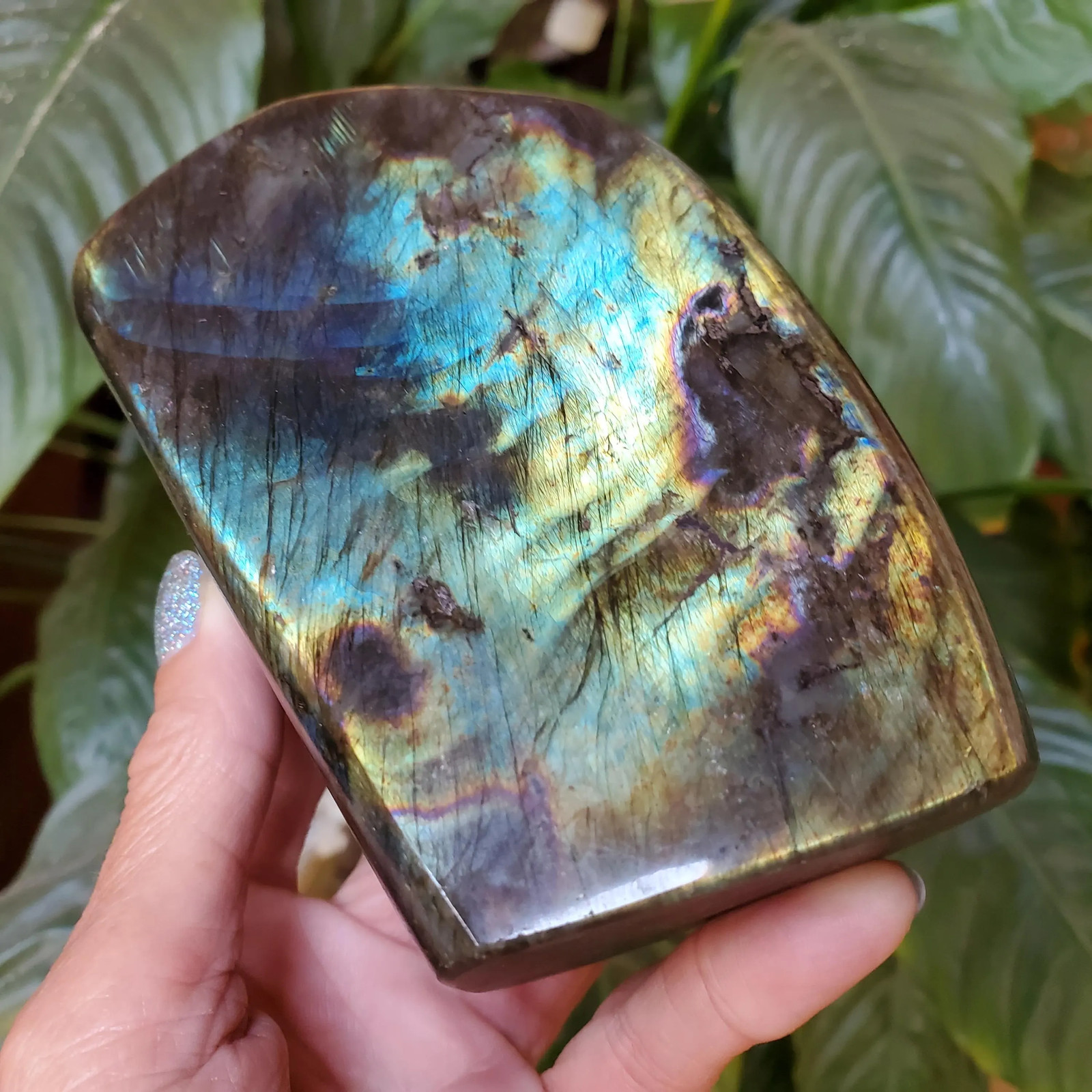 Labradorite Spectrolite Blue & Yellow Flash Crystal Slab Freeform 952 grams