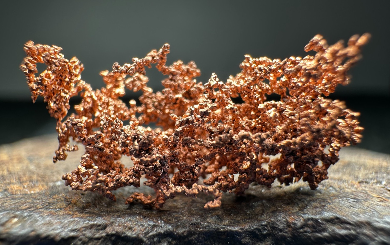 ➤ 7/8″ ARBORESCENT COPPER CRYSTALS – White Pine Mine UP Michigan VIDEO➤1138