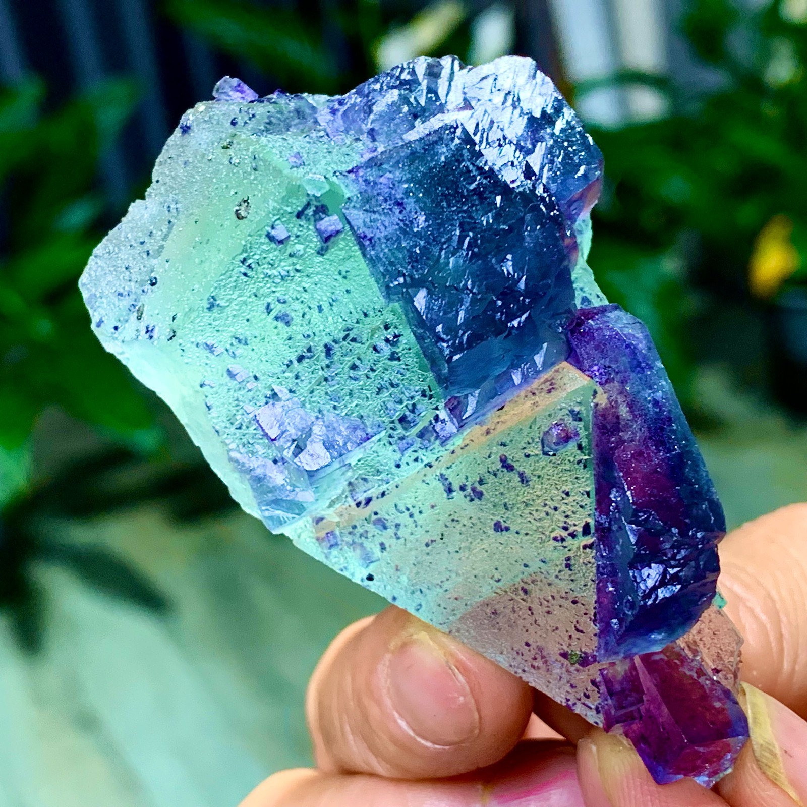 86G Rare transparent green purple cubic Zhejiang fluorite mineral sample