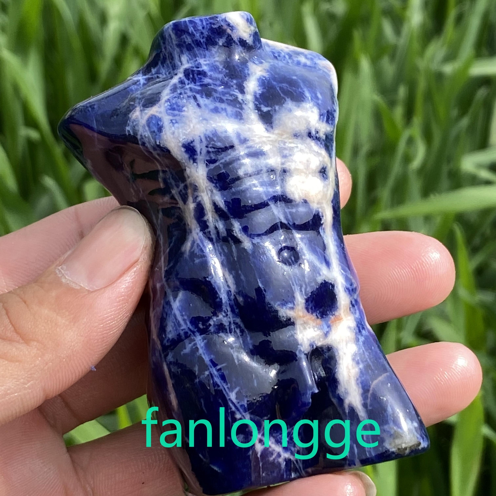 3.2in Natural Sodalite male Quartz Crystal skull Body Sculpture Reiki 1PC