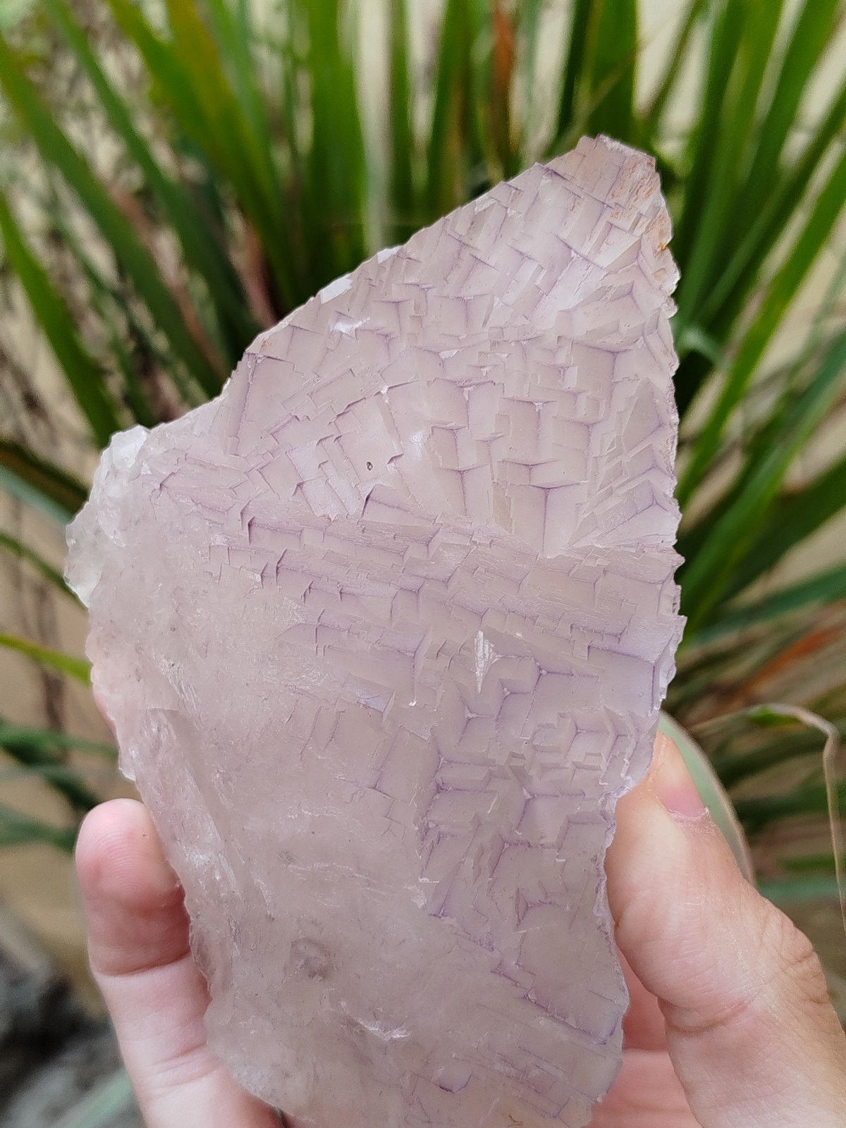 630g Natural Step Wise Cubic Fluorite Purple Lining Crystals Mineral Specimen