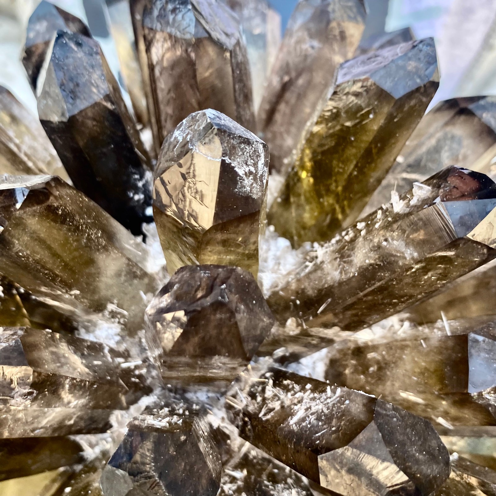 12G New Find black Phantom Quartz Crystal Cluster Mineral Specimen Healing