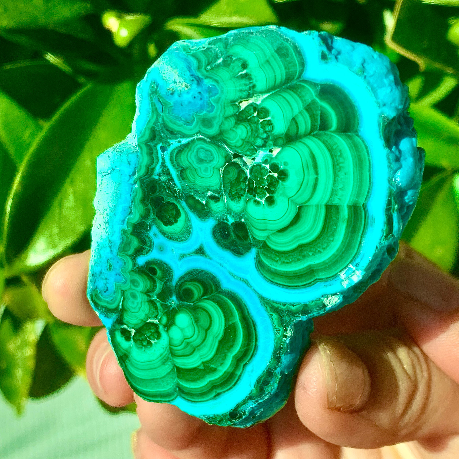 98G Natural tortoise Malachite transparent cluster rough mineral sample