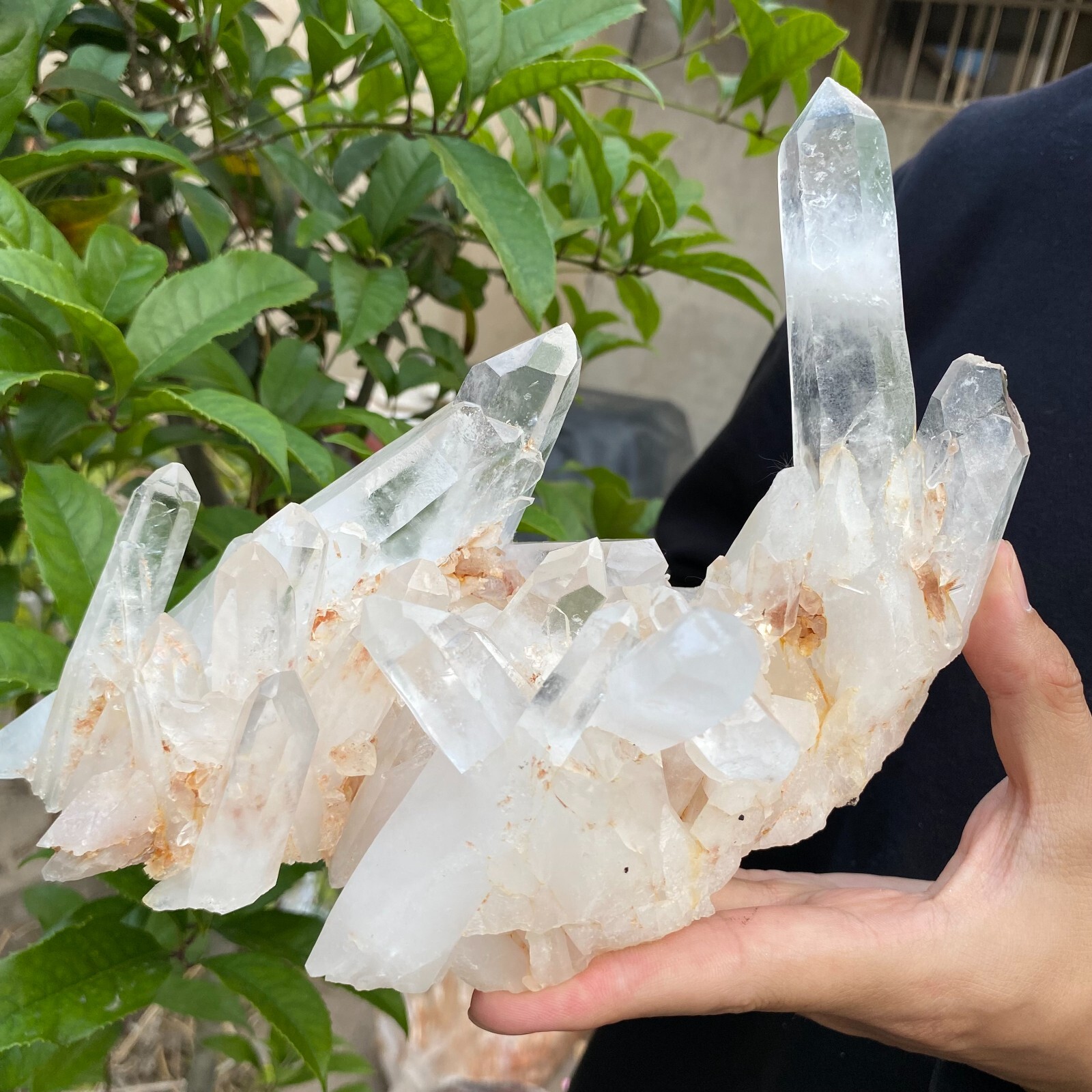 3.1lb Natural Clear White quart Crystal Cluster Raw Healing Specimen