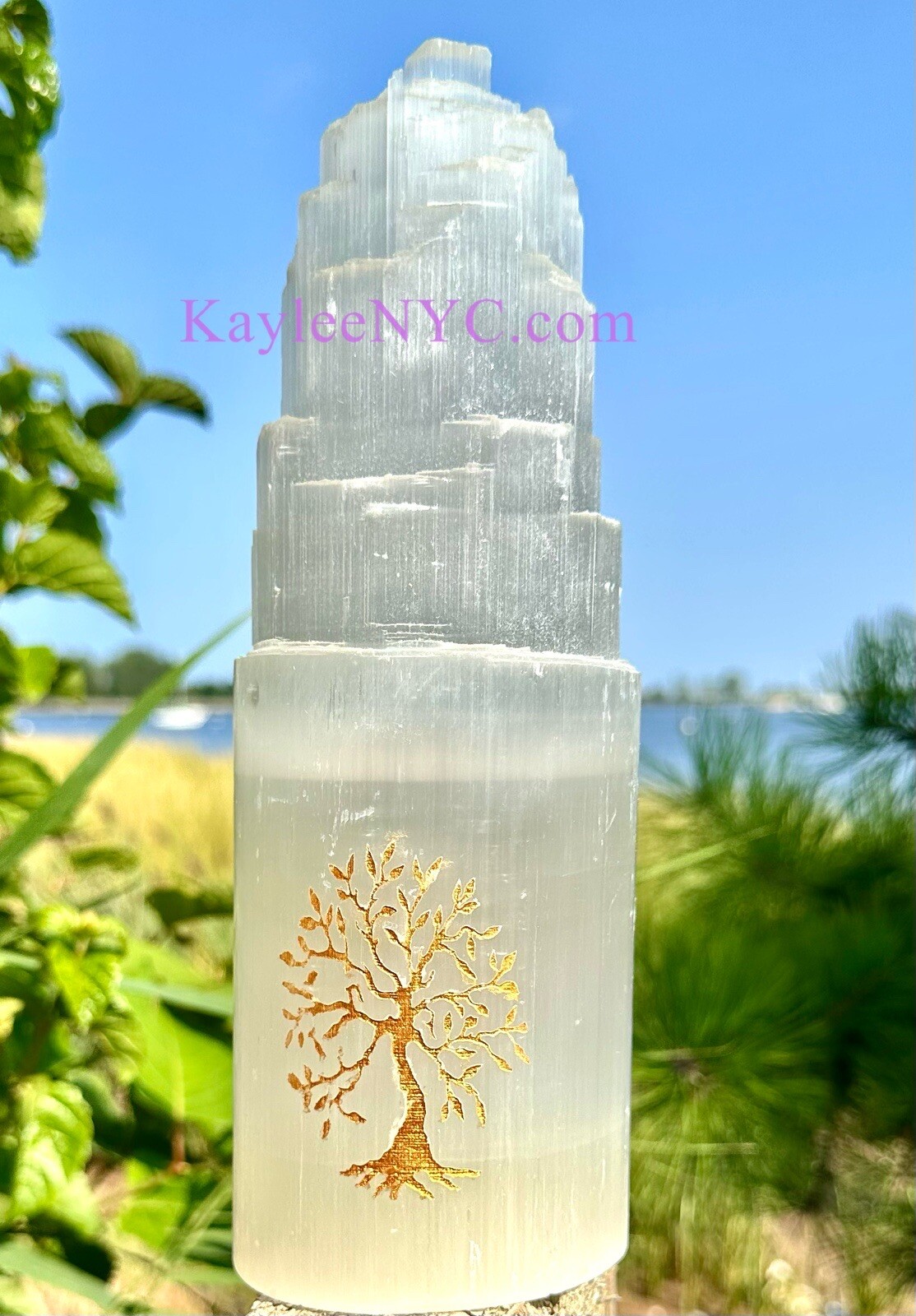 Wholesale Lot 2 Pcs 25cm Natural Selenite Satin Spar Tree Of Life Lamp Crystals