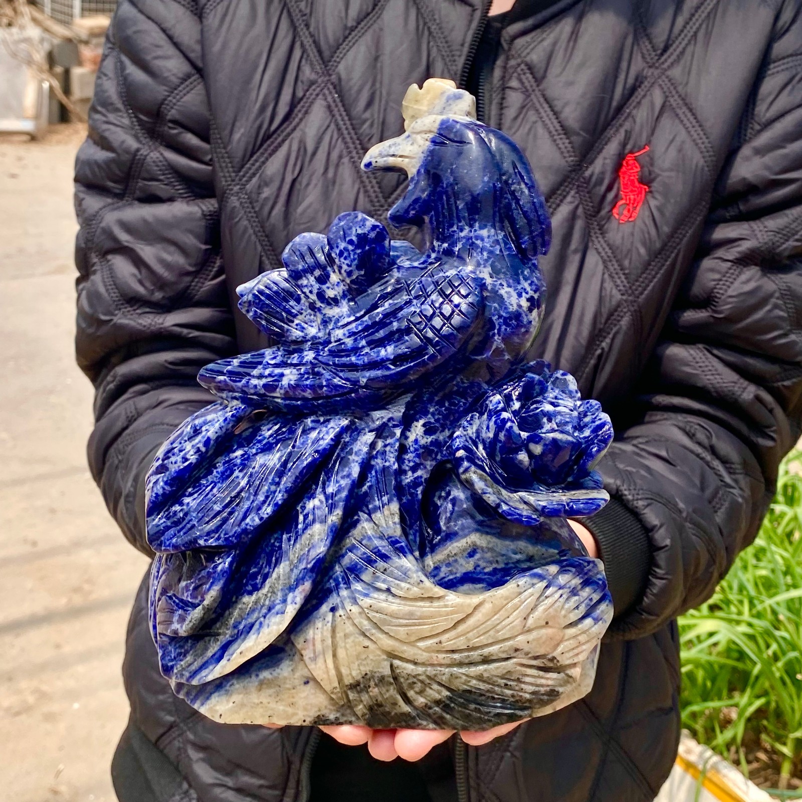 6.1LB Natural Blue Texture Crystal Carving Phoenix Rose Spiritual Energy