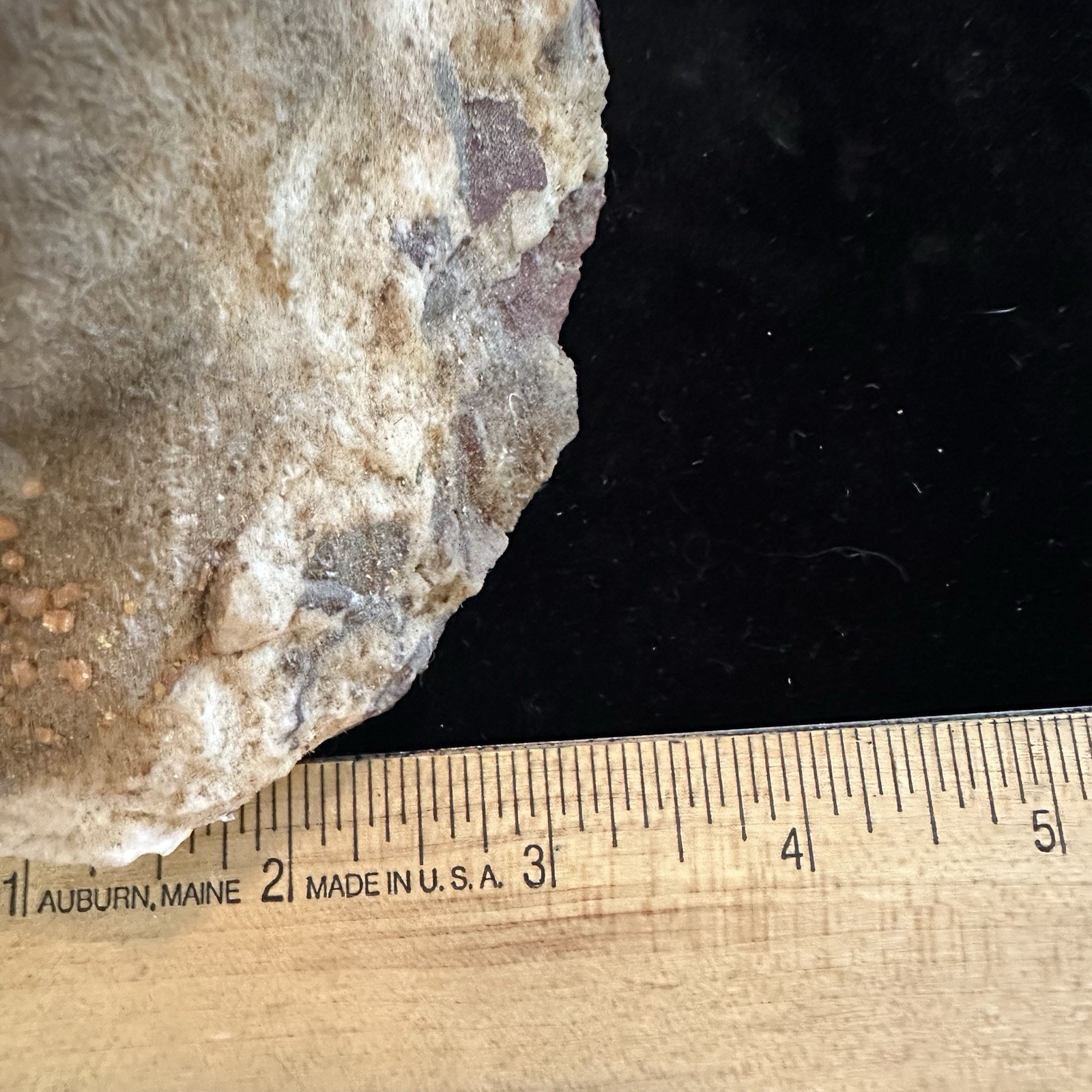 Spessartine Garnet Crystal Matrix Specimen Large Natural Orange Garnets 32oz