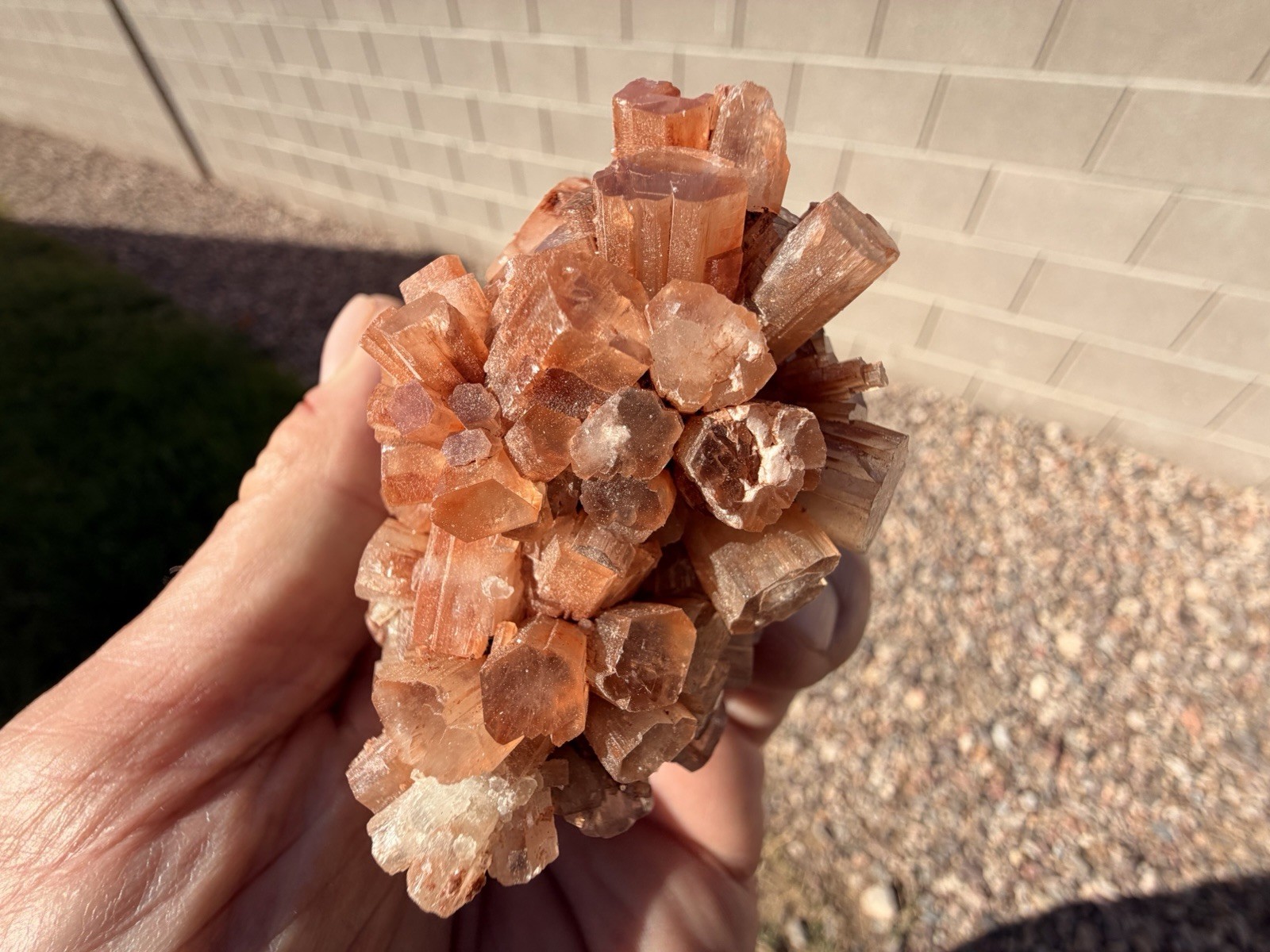 Natural Red Aragonite Crystal Cluster Specimen From Morocco, 194.4g, 4.5 Inches