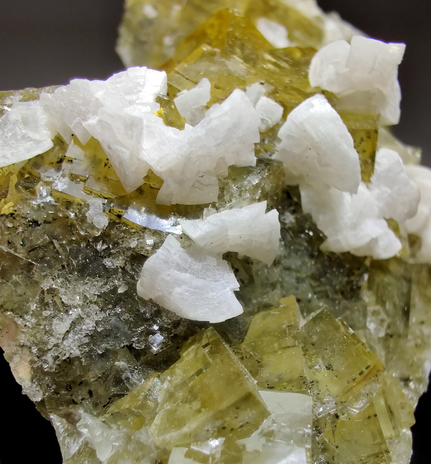 Fluorite crystals & Dolomite, Gorgeous! Moscona Mine, Spain. 7.5 cm.