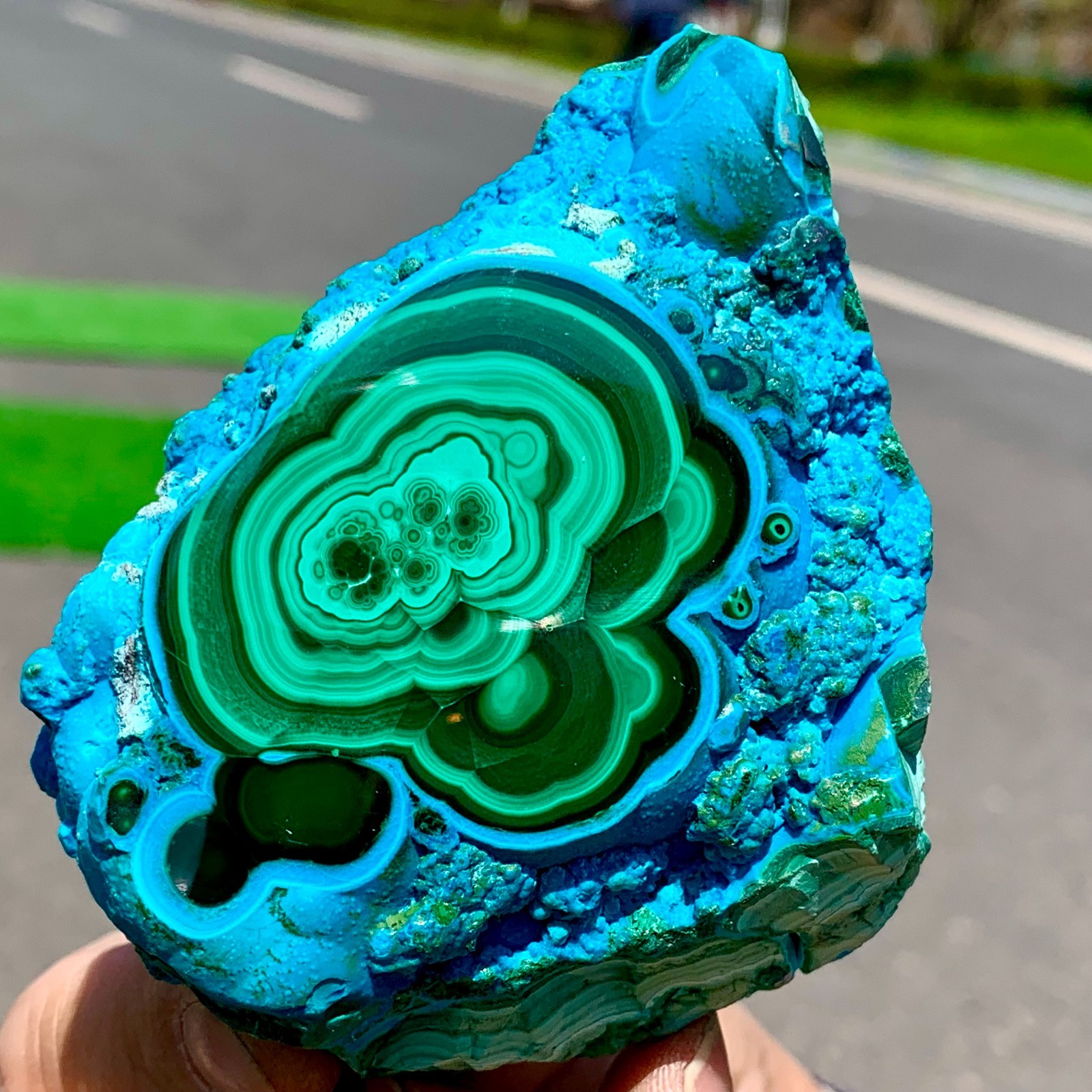 290G Natural Chrysocolla/Malachite transparent cluster rough mineral sample
