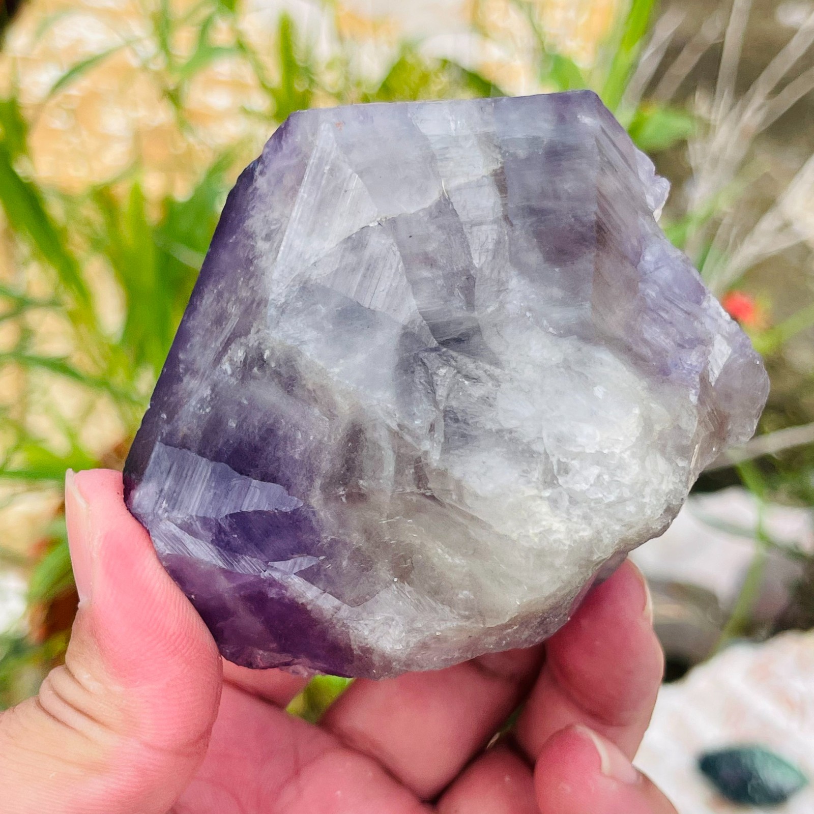 467g Natural Amethyst Unicuspid Quartz Crystal Points Rough Mineral Specimen