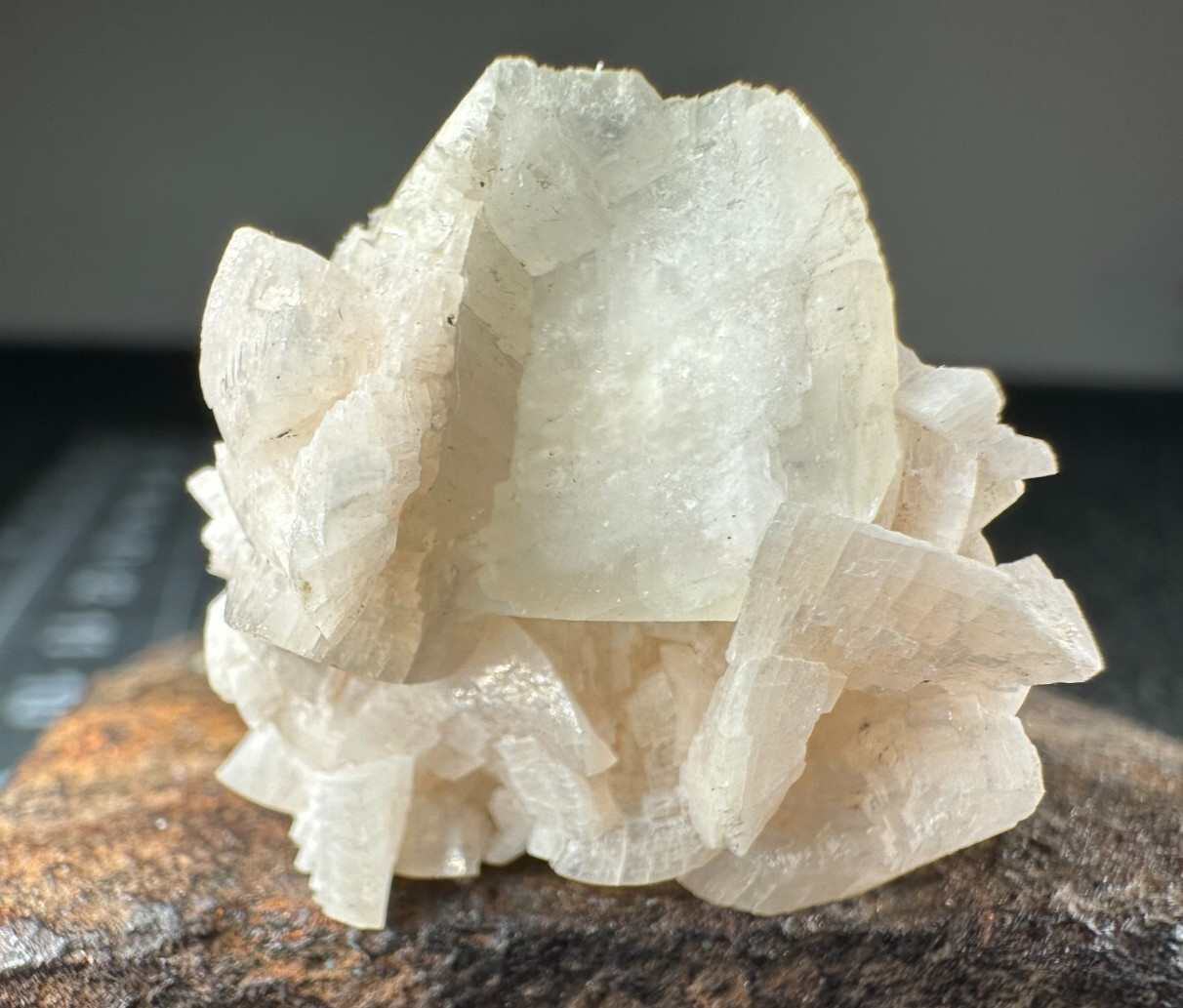 ➤ 1 x 1 Inch LARGE BLADED PINK DOLOMITE SPECIMEN – Corydon Indiana VIDEO➤1025