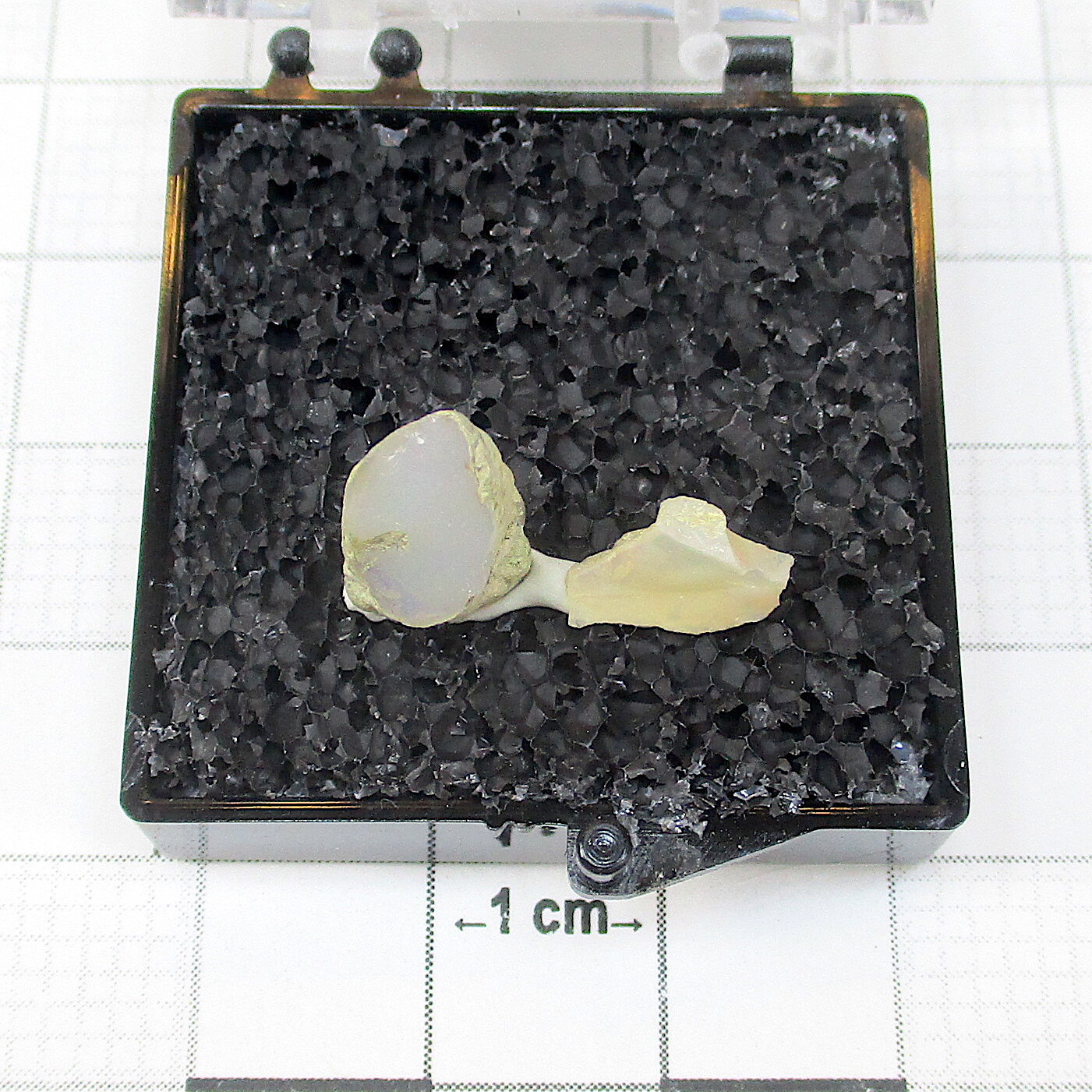 03409 TN Precious Opal Ethiopia 21874