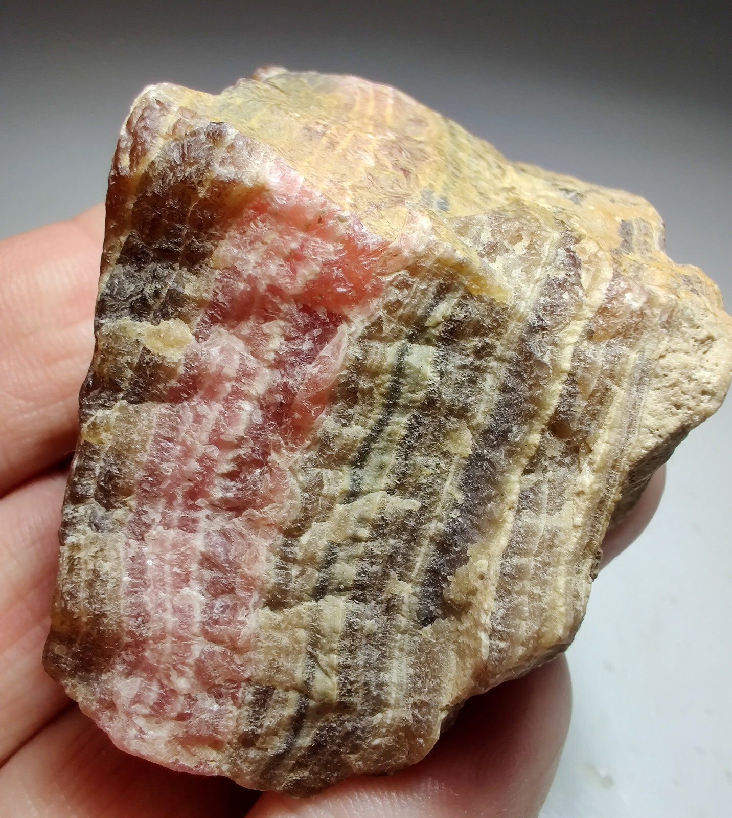 Rhodochrosite, banded layers. Capillitas, Argentina. 141 grams.