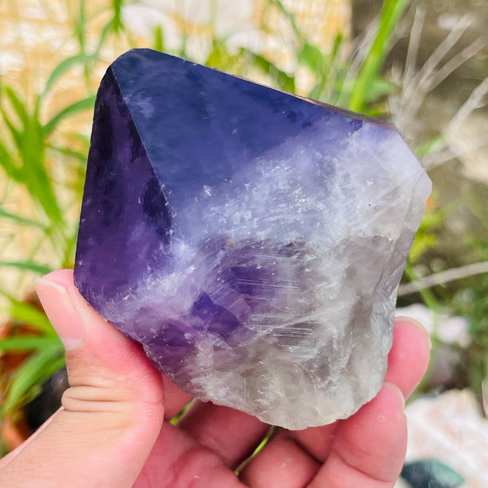 467g Natural Amethyst Unicuspid Quartz Crystal Points Rough Mineral Specimen