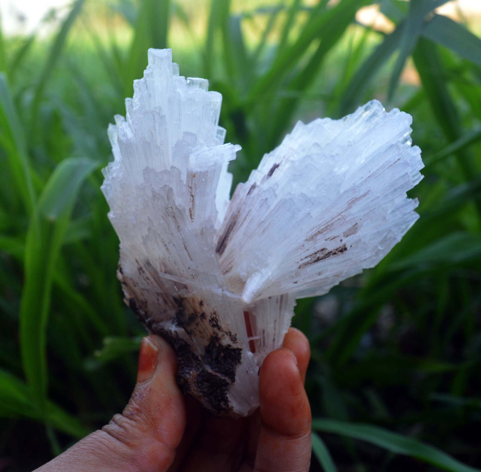 scolecite spray formation minerals specimen m-3