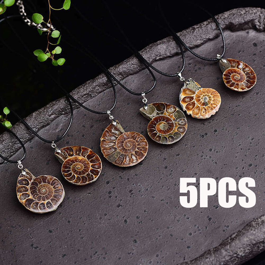 5PCS Natural Conch Fossil Quartz Crystal Pendant healing Mineral Necklace Decor