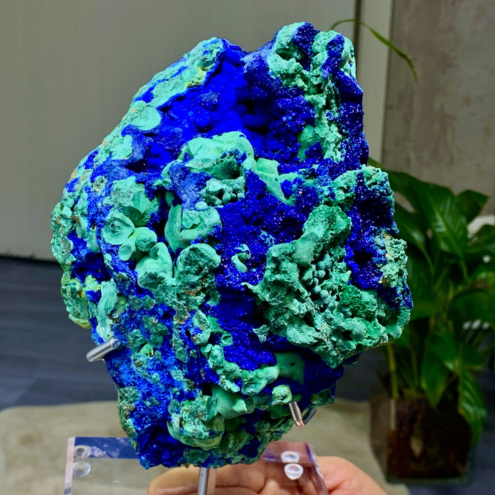 4.71LB Best Natural Azurite/Malachite raw Crystal Mineral Specimen