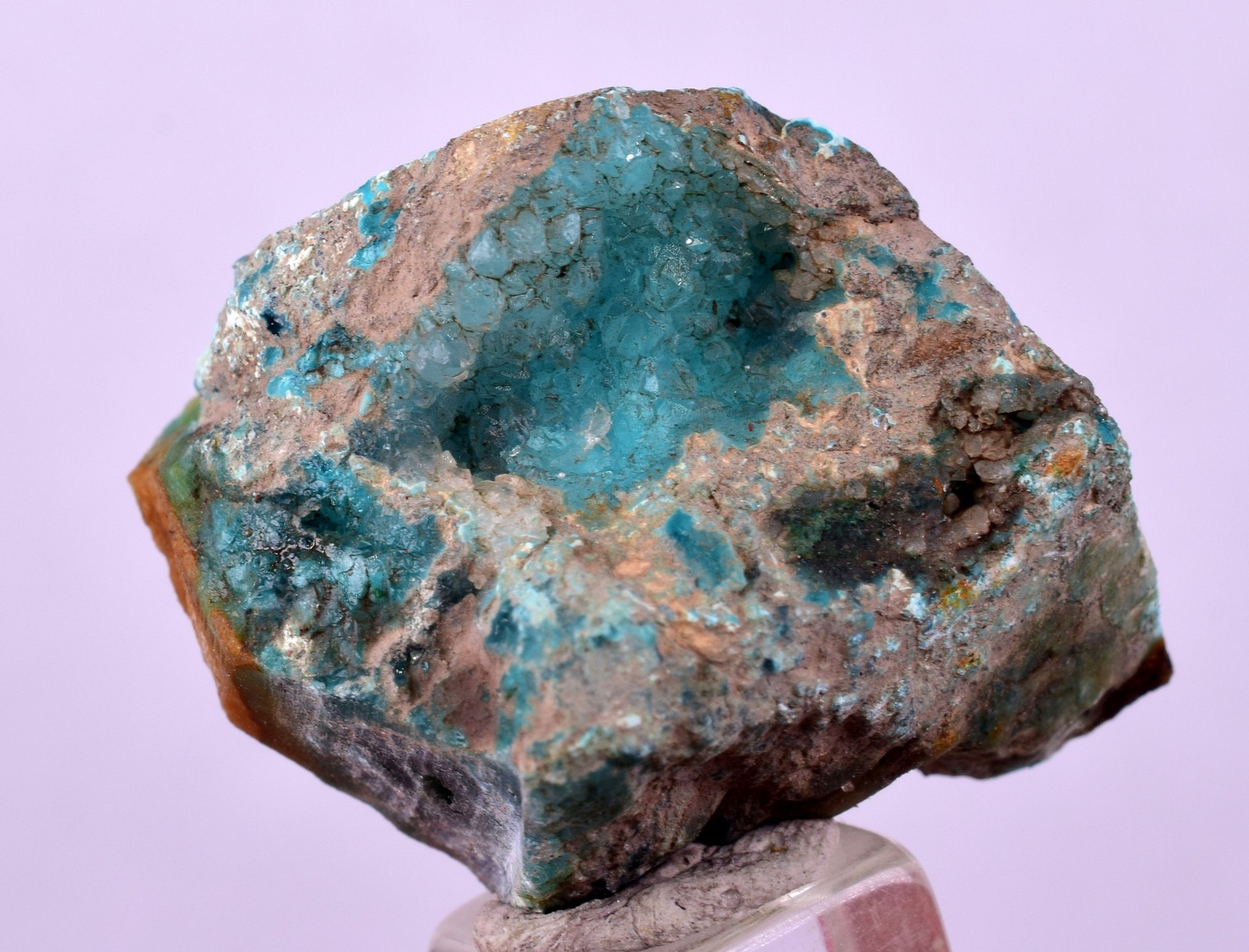 3.2cms DRUZY CHRYSOCOLLA QUARTZ CRYSTAL PERU COPPER LILY MINE DB205