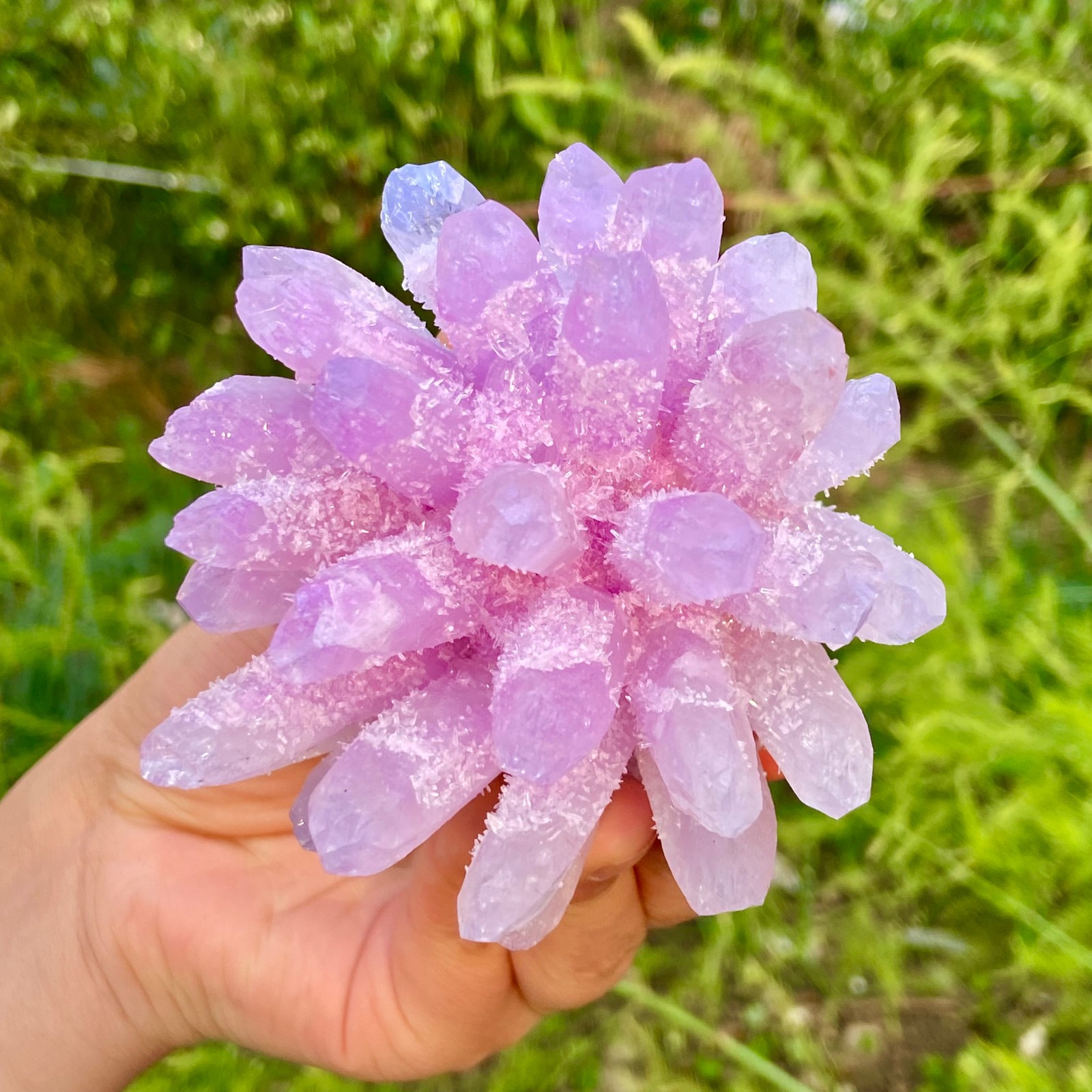 416G New Find PURPLE Phantom Cluster MineralSpecimen