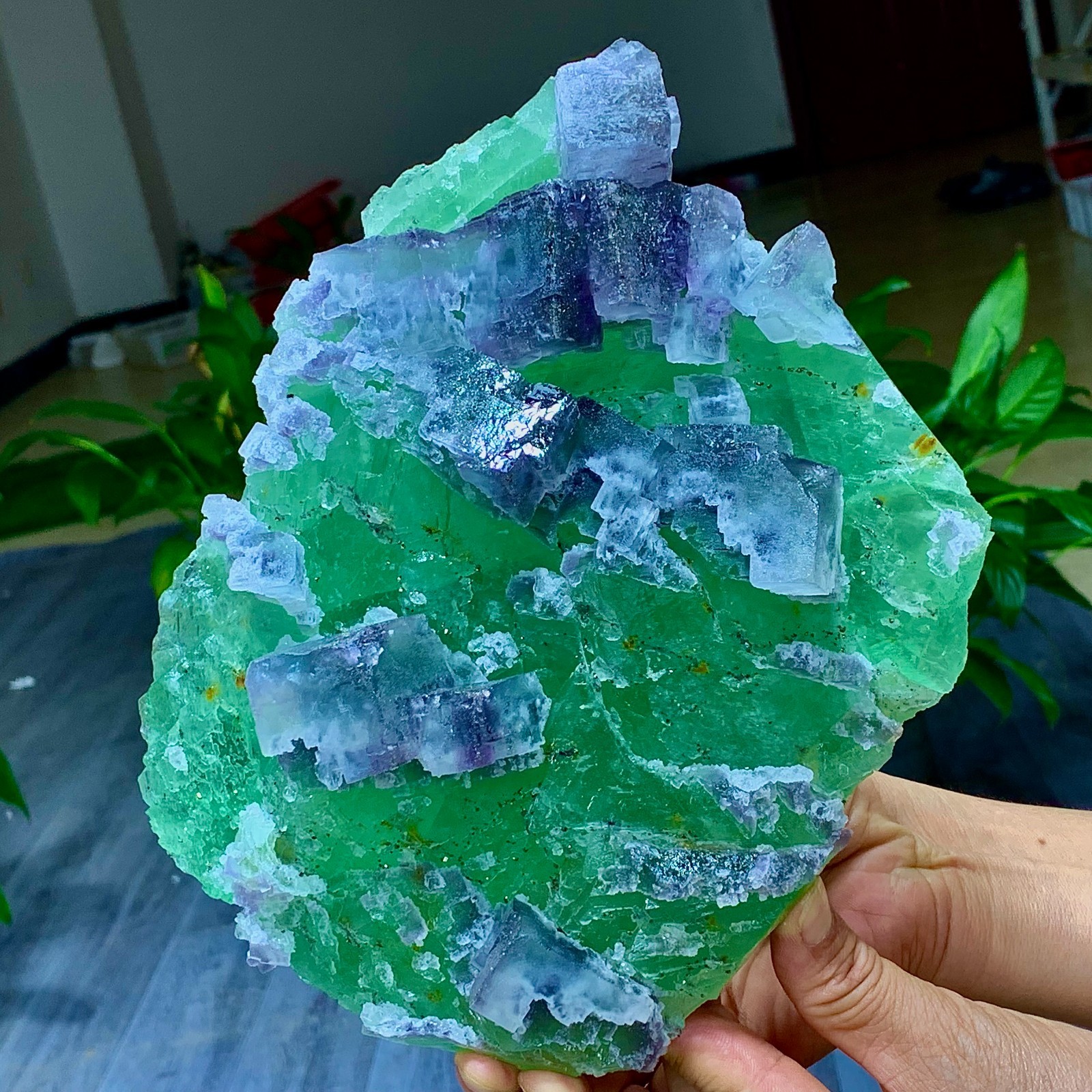 7.2LB Rare transparent green purple cubic Zhejiang fluorite mineral sample