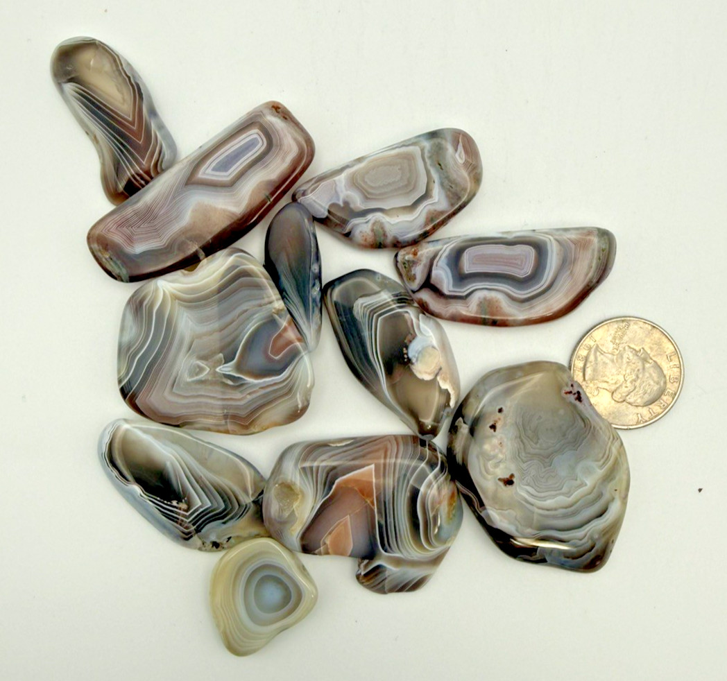 Botswana agate flat tumbles slab bright polish 128 grams 11 pieces wire wrap art