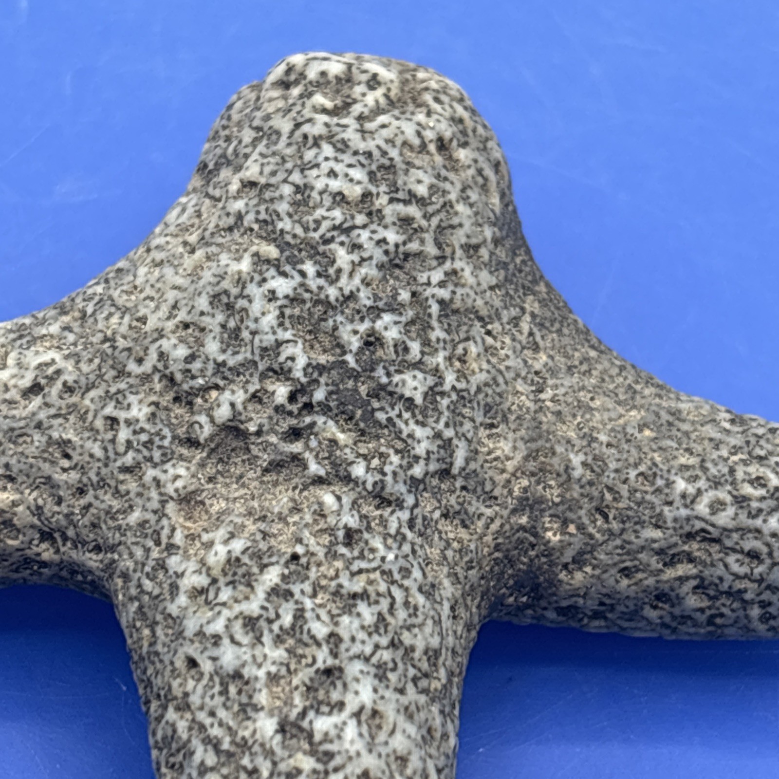 Carved Stone Abstract Palm Stone Sculpture Possibly Fossil Coral 3.25” Cross