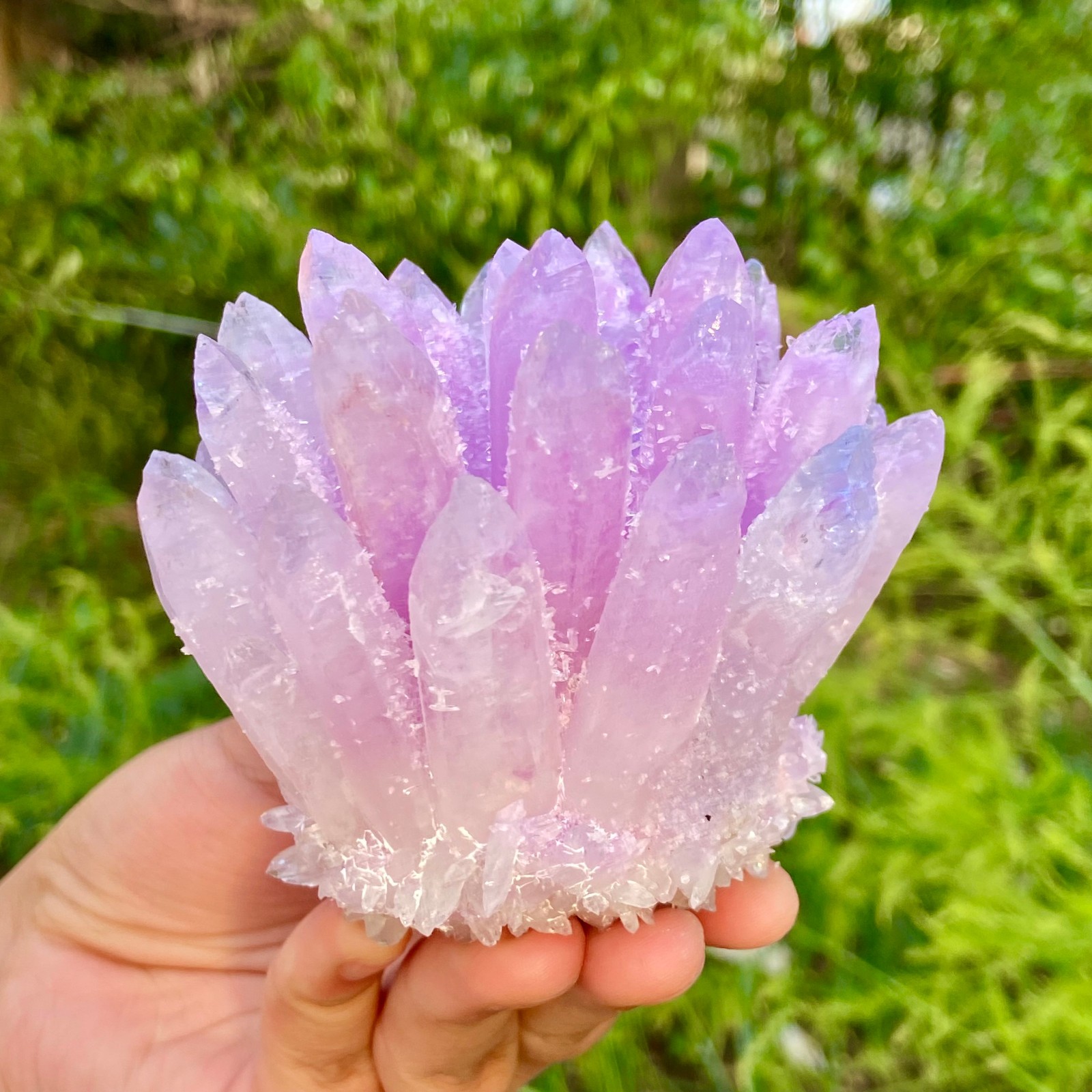 416G New Find PURPLE Phantom Cluster MineralSpecimen