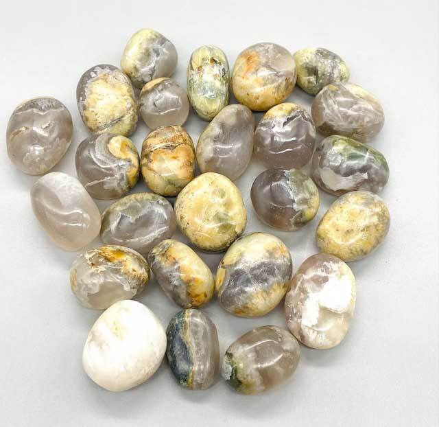 Opalized Petrified Wood 1 lb Tumbled Gemstones (Size, Count, Appearance Varies)