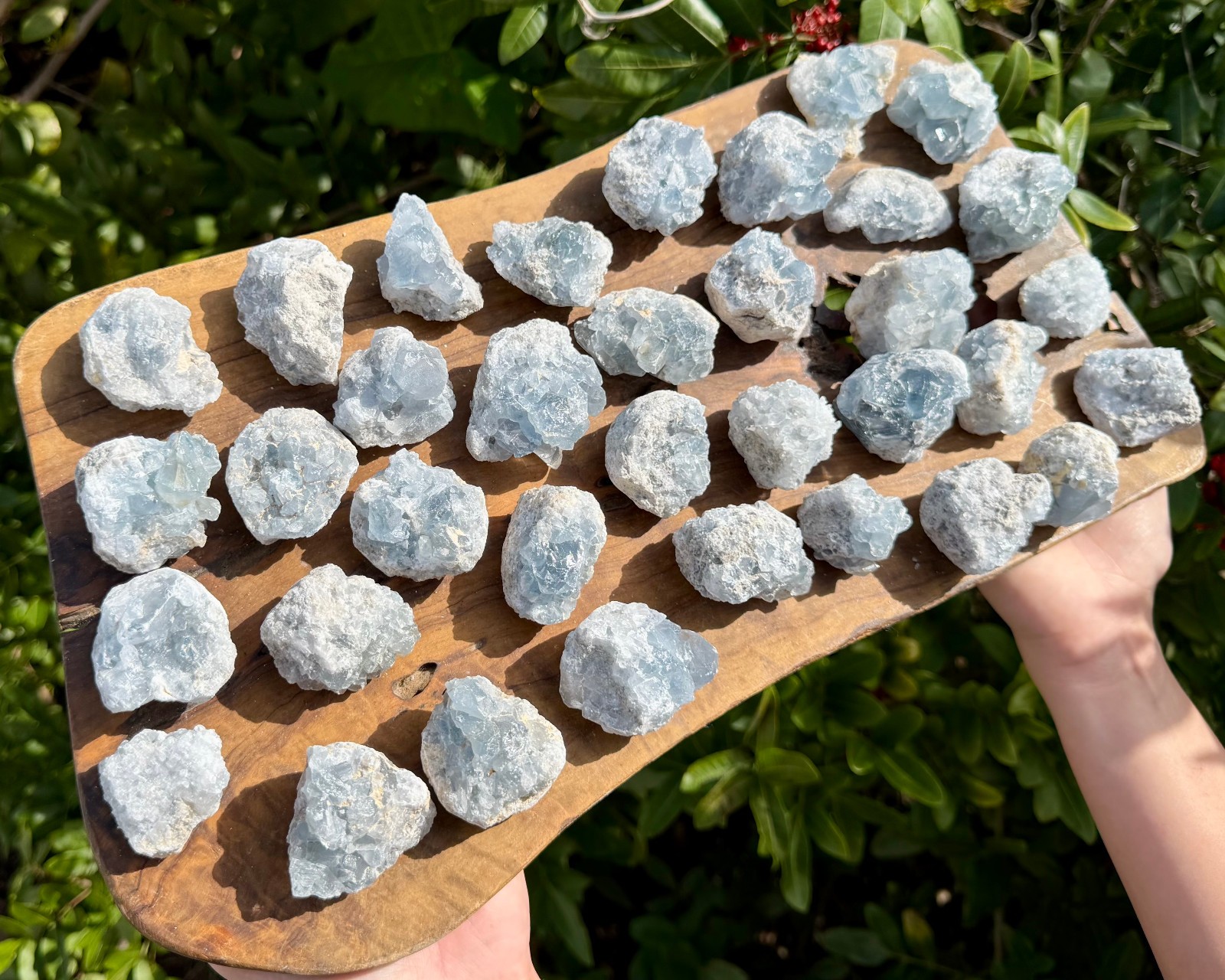 Natural Small Celestite Clusters CLEARANCE Bulk Wholesale Lots (‘B’ Grade)
