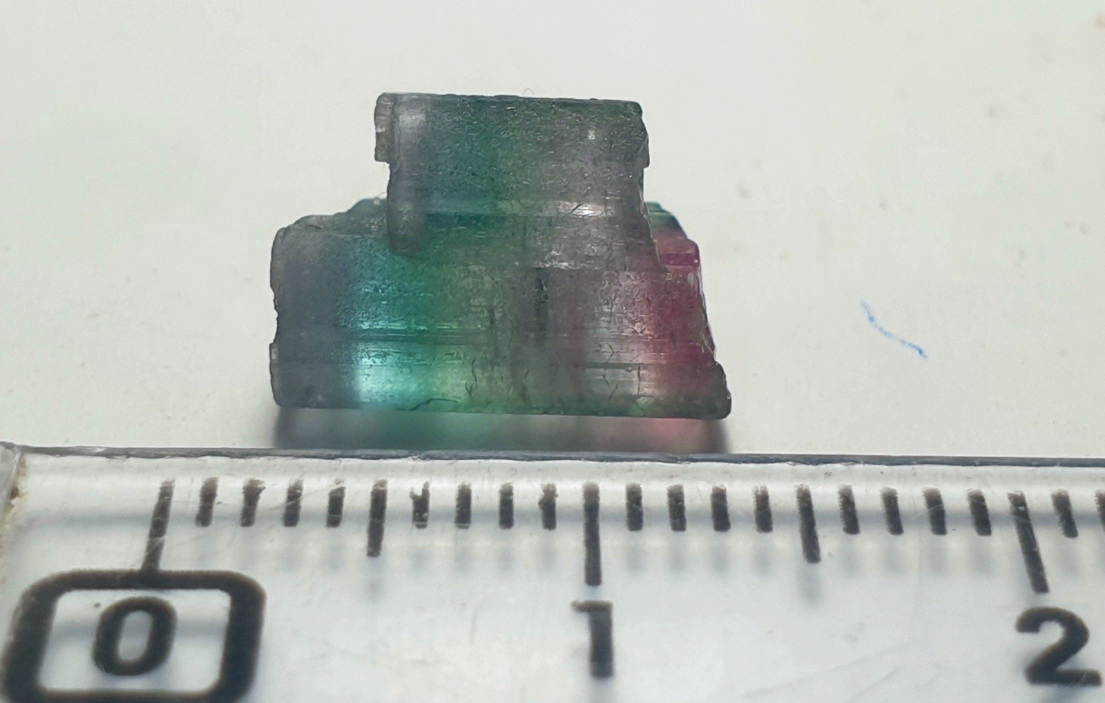 Saturated Top Quality Twin MultiColour Watermelon Terminated Tourmaline Crystal