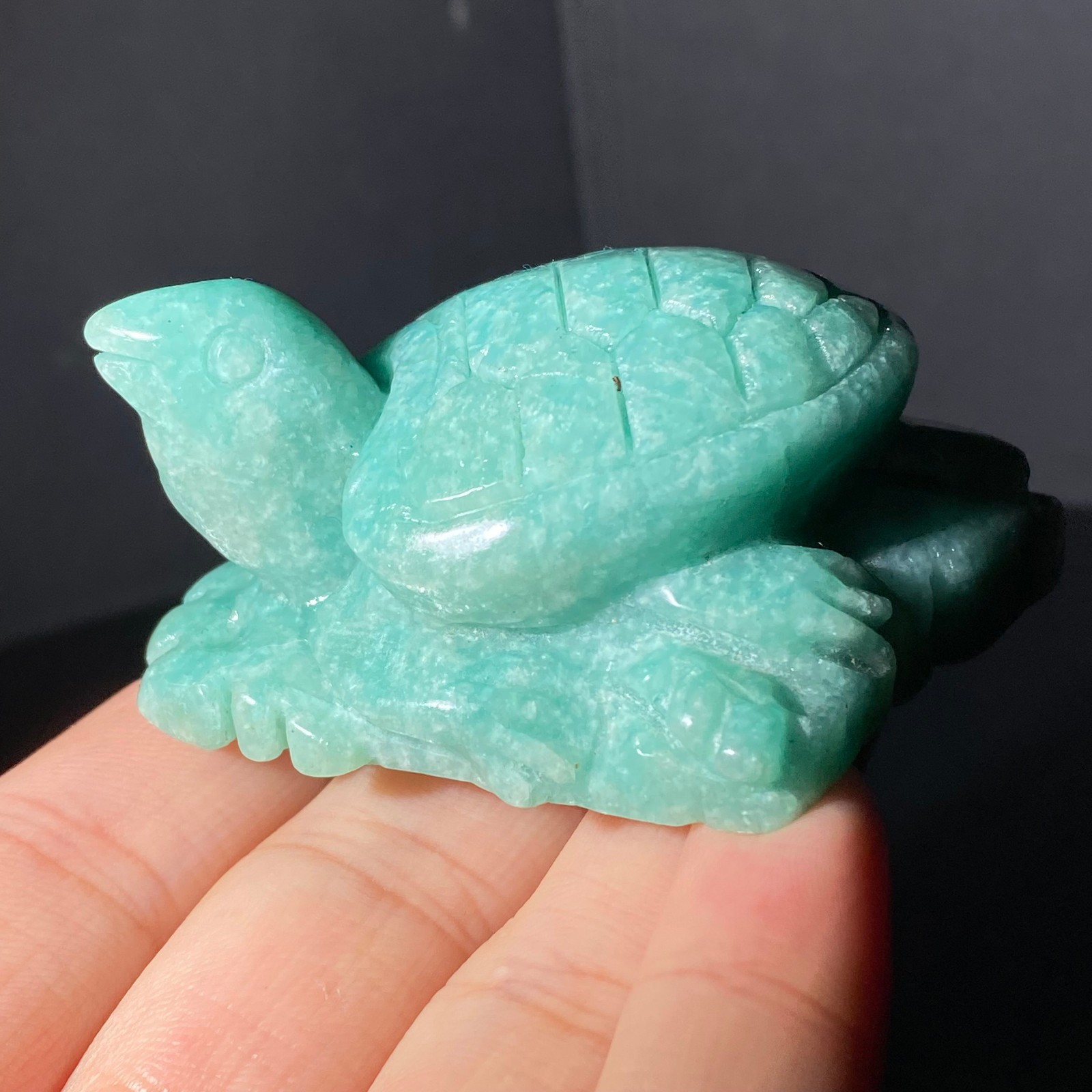 108G Natural Tianhe stone Turtle Quartz Tortoise Carved Crystal Skull Healing