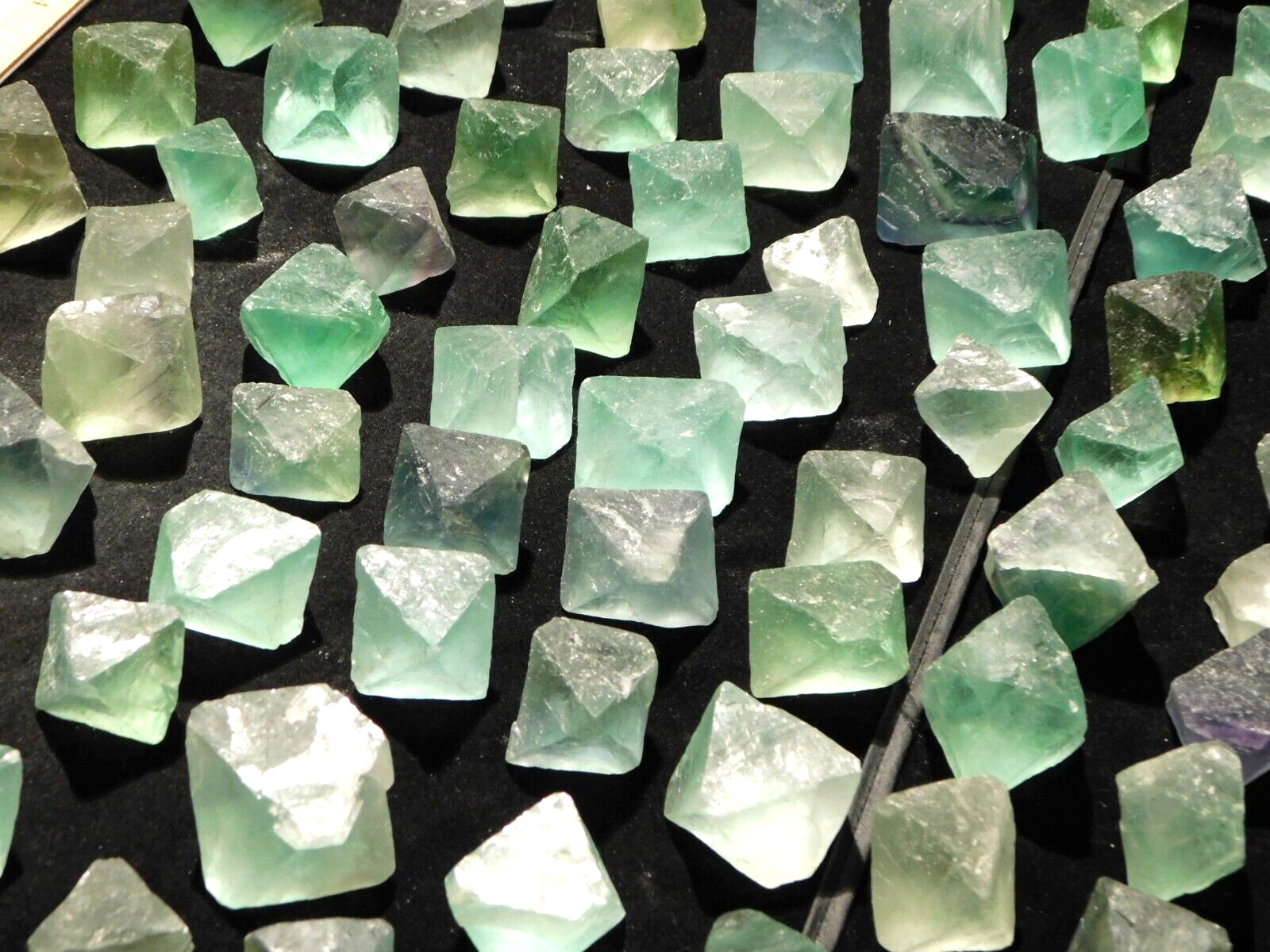 Over One Pound! or 500 Grams! Fluorescent FLUORITE Octahedron Crystals