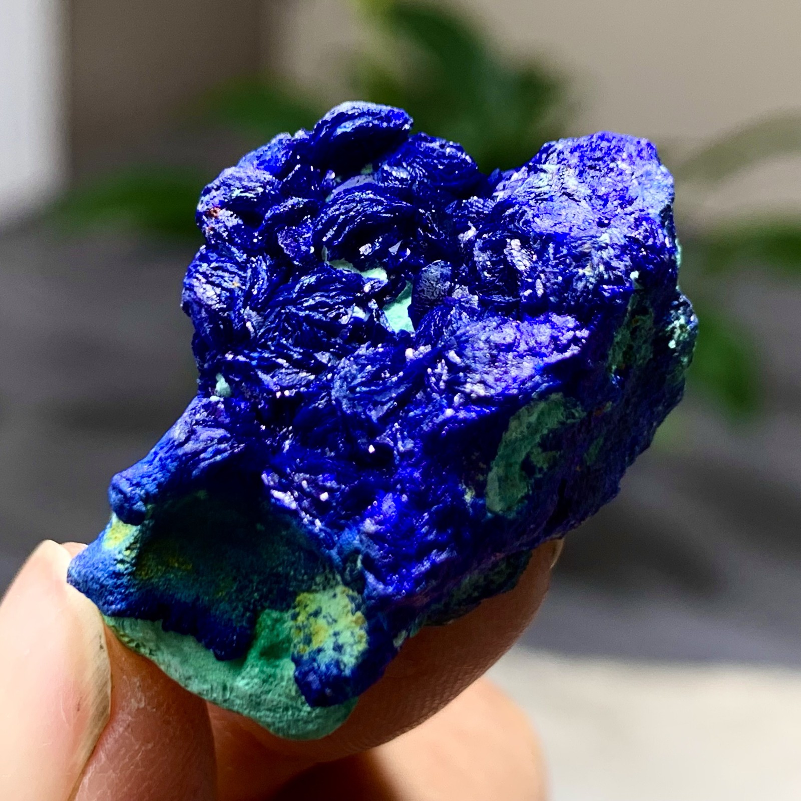 17G Best Natural Azurite/Malachite raw Crystal Mineral Specimen