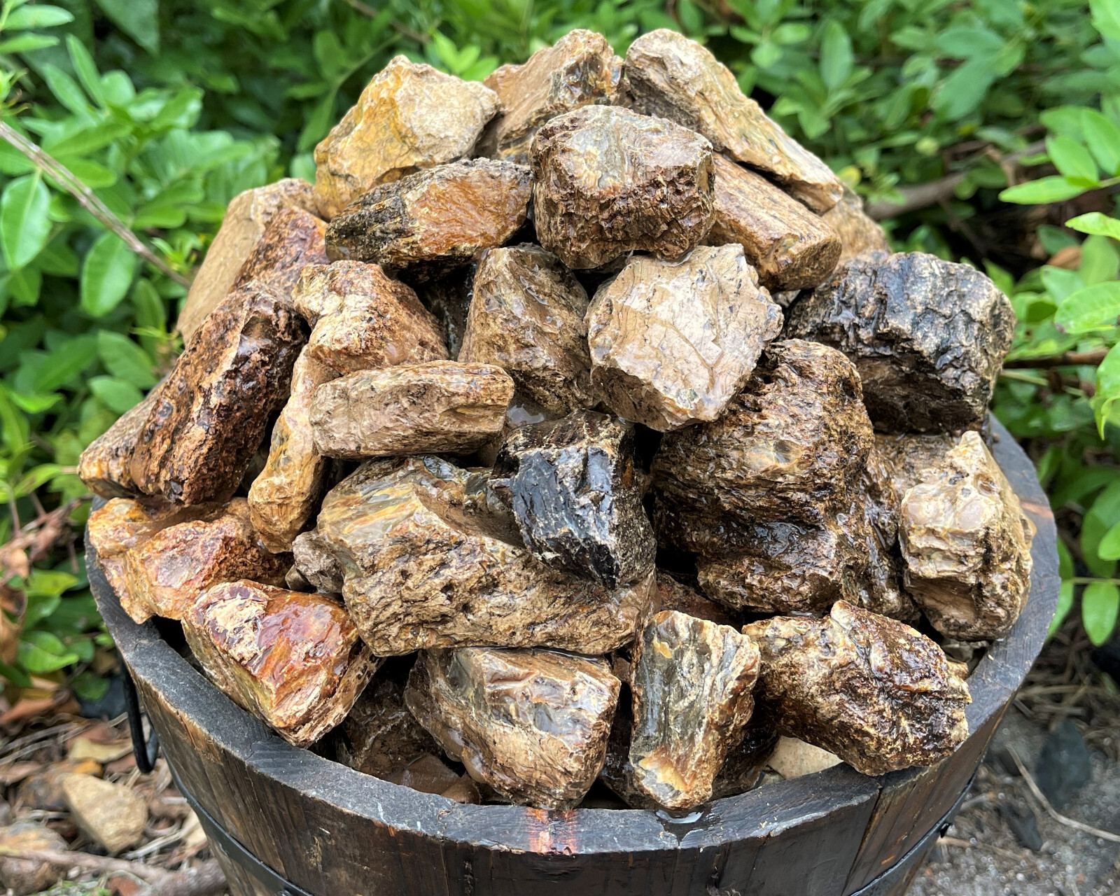 Indonesian Raw Amber CLEARANCE Wholesale Bulk lots (Natural Rough Amber Crystal)