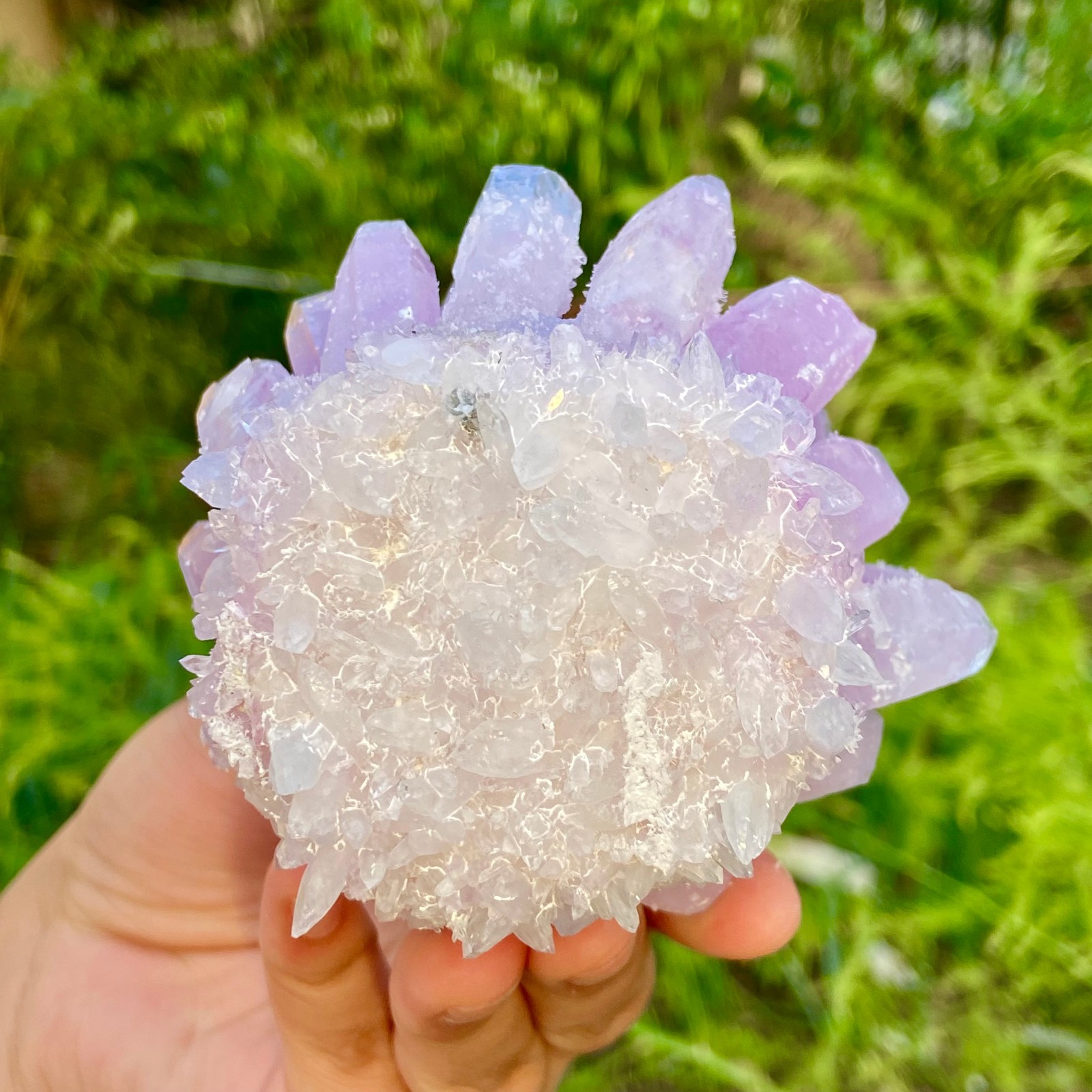 416G New Find PURPLE Phantom Cluster MineralSpecimen
