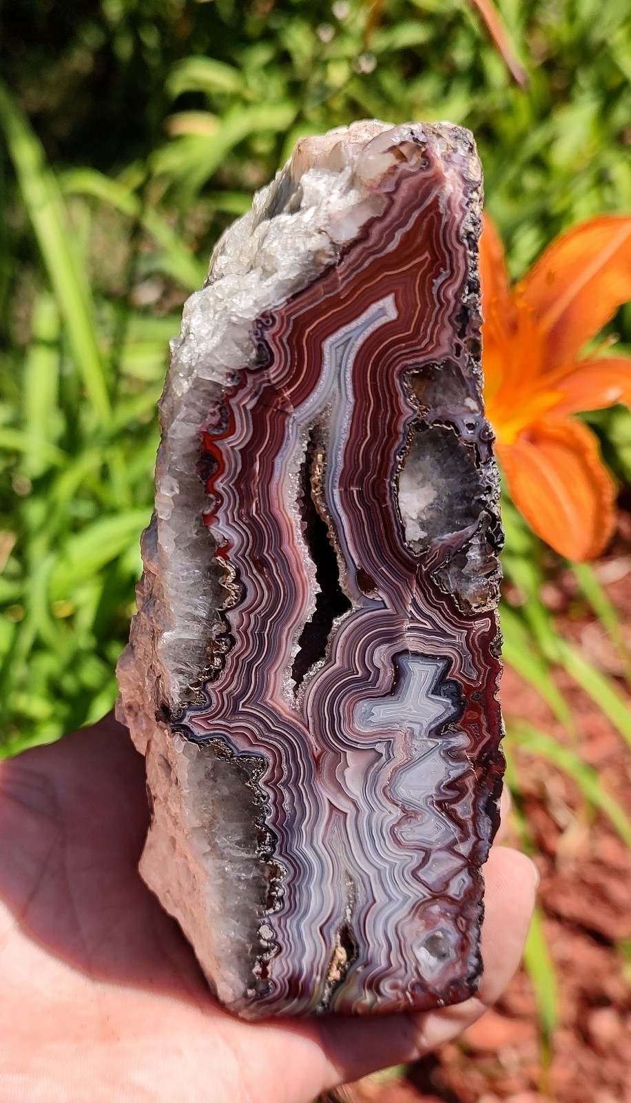 Mexican Crazy Lace Banded Agate, 1302g Outstanding Face Polished, Display Agate