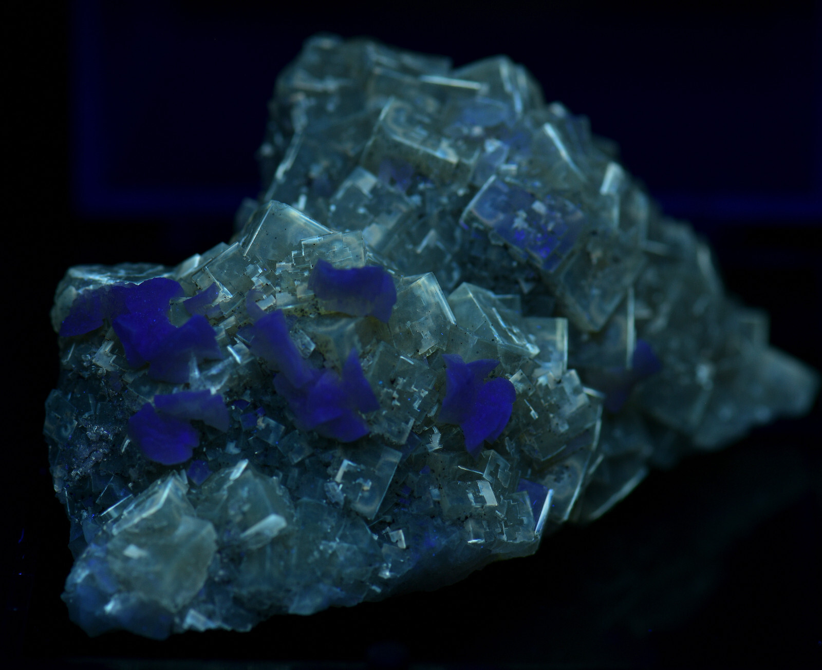 Fluorite crystals & Dolomite, Gorgeous! Moscona Mine, Spain. 7.5 cm.