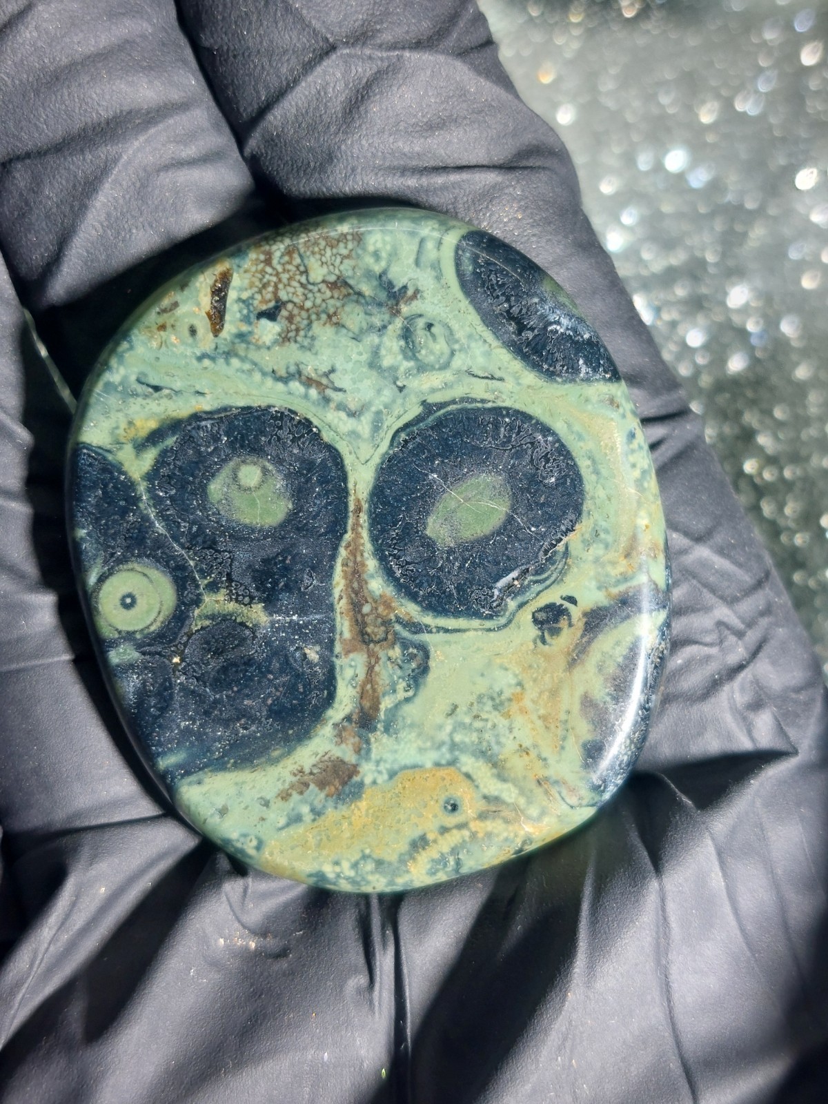 Kambaba Jasper Crystal Polished Slice Palm Stone Healing Energy 18.6g 3.5cm