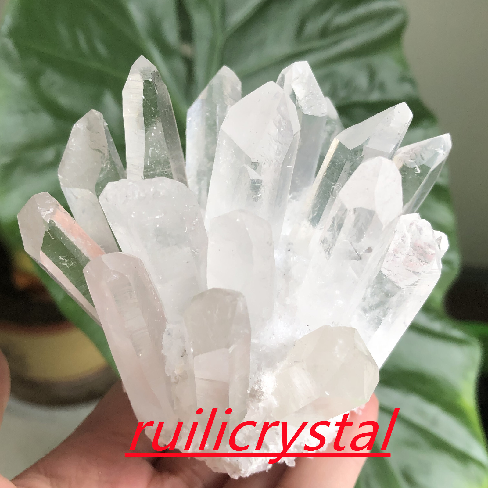 300g+natural clear quartz cluster white crystal point healing decor random 1pc