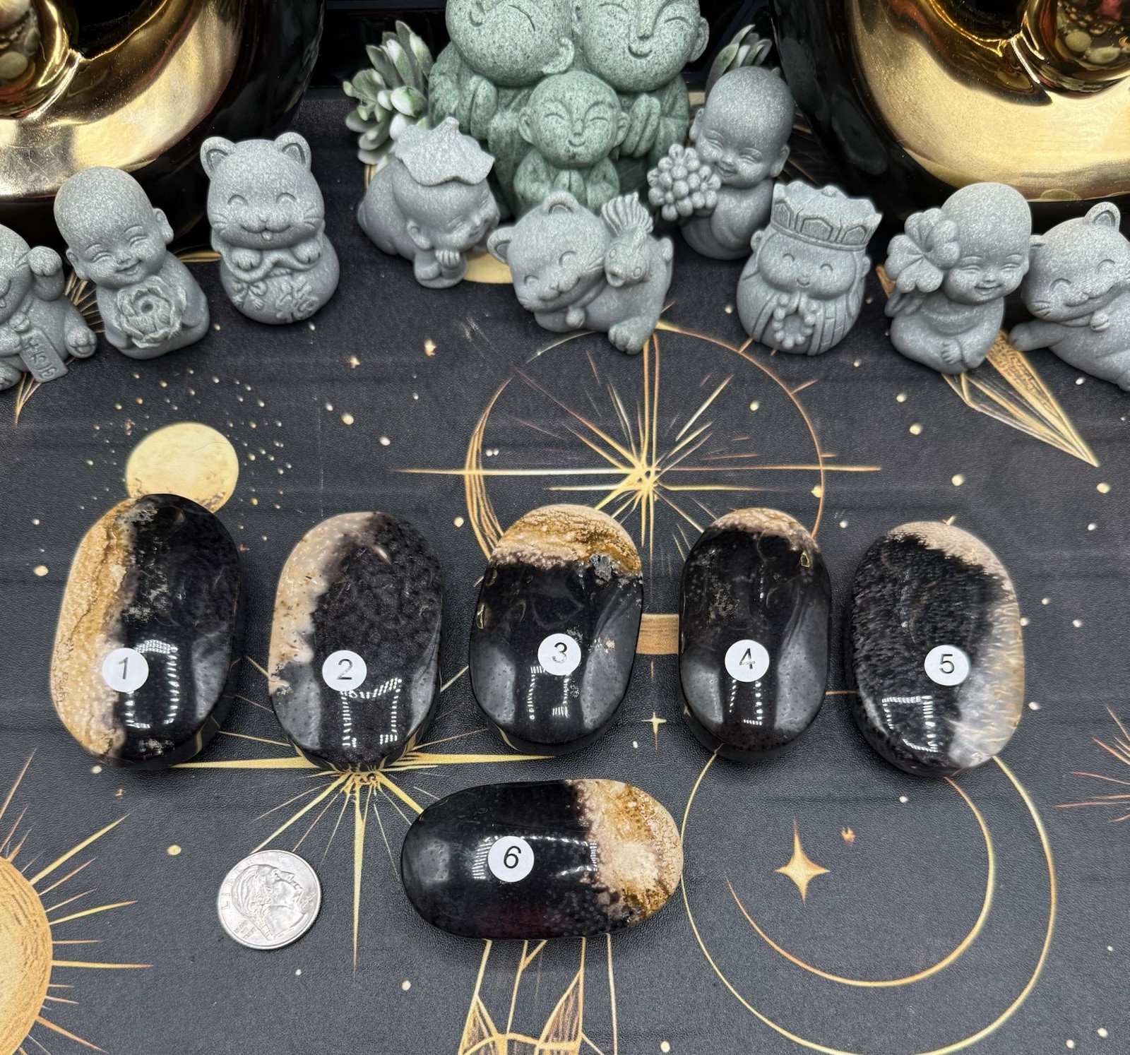 Natural Indonesian Palm Root Palmstones Fossilised Wood Free shipping