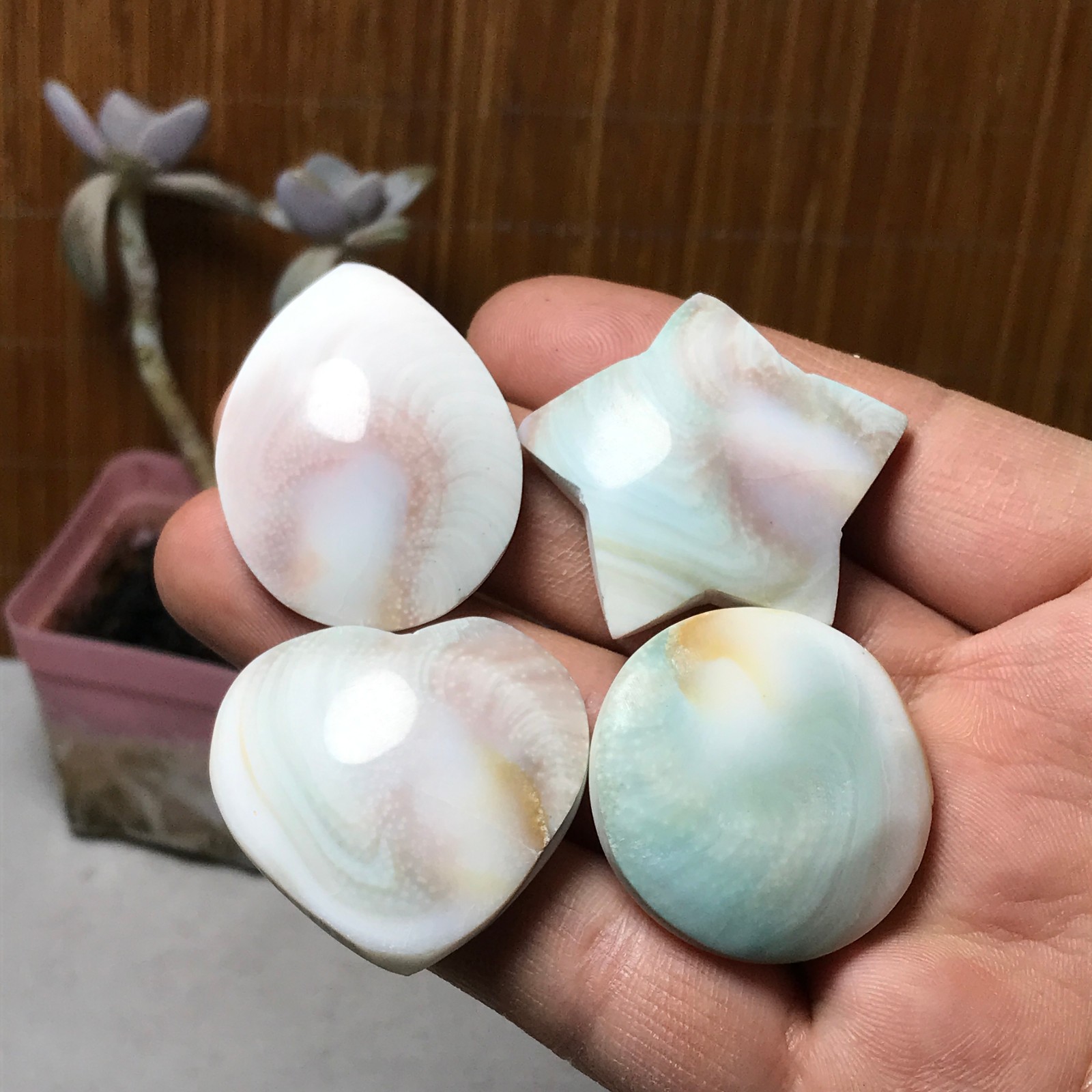 4Pcs Natural sun shell star Heart Reiki Shiva Eye ocean quartz carve A3331