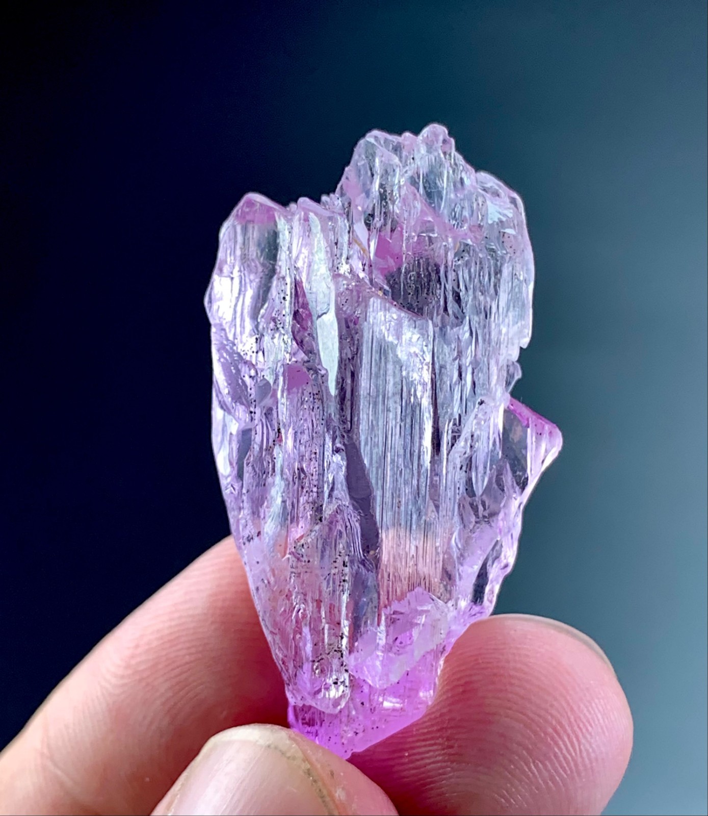 79 Carat Natural Pink Kunzite Crystal From Afghanistan